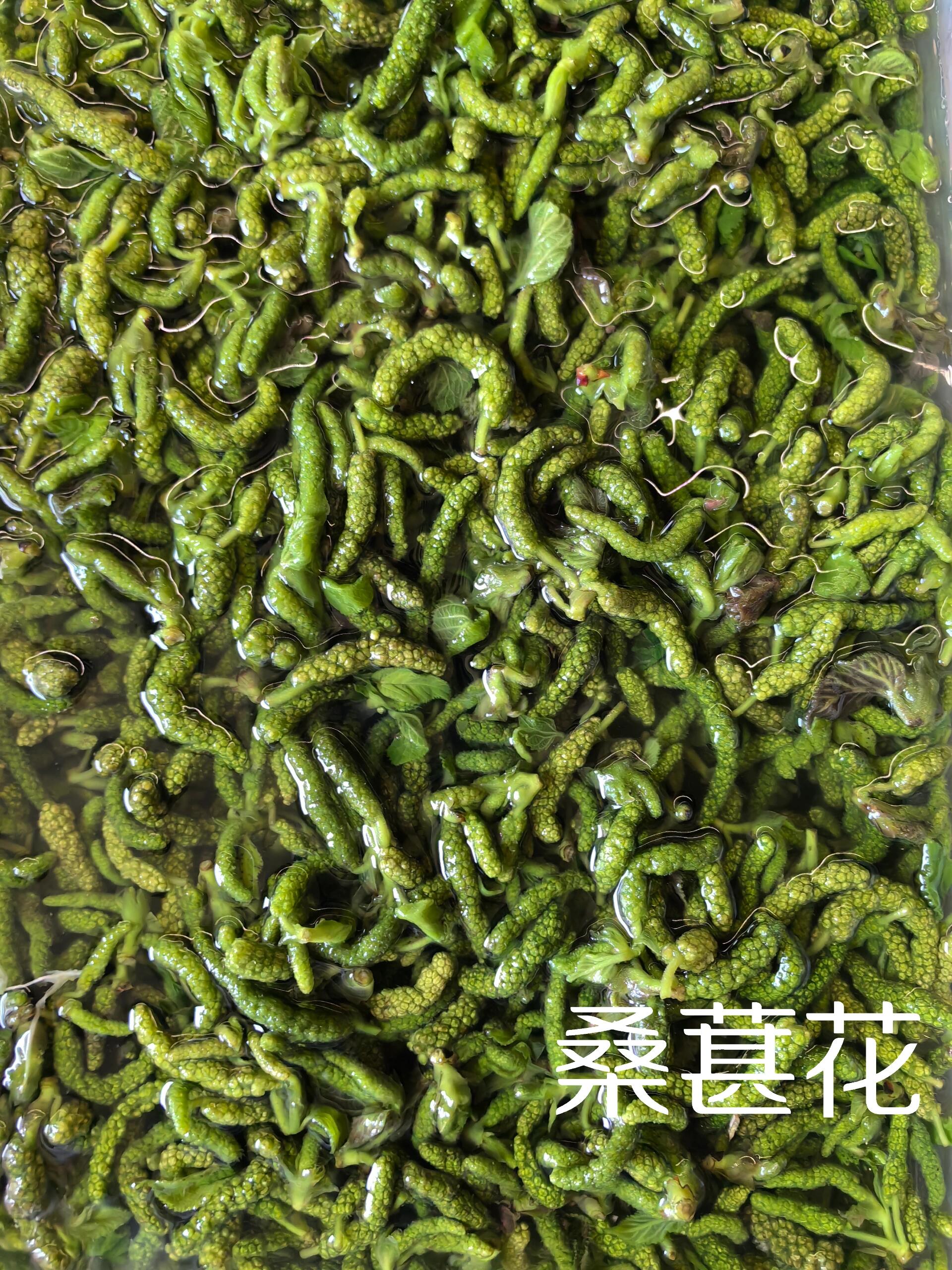 云南必吃野菜桑葚花 在我们云南不能错过的美食之一桑葚花"我们