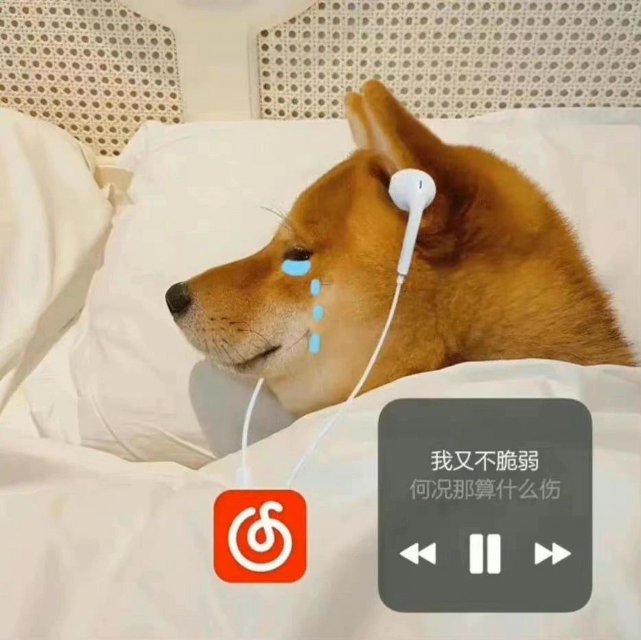 分享一波难过表情包,最近真的很难过09 水逆快点消散吧,我真的没有