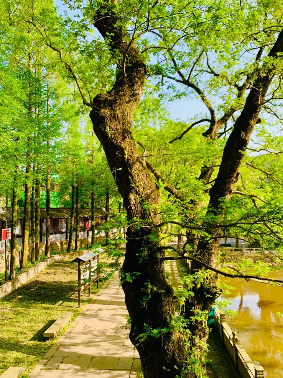 走进浙东第一古寺慈溪五磊讲寺 【东游慈溪·森森五磊山·巍巍五磊寺