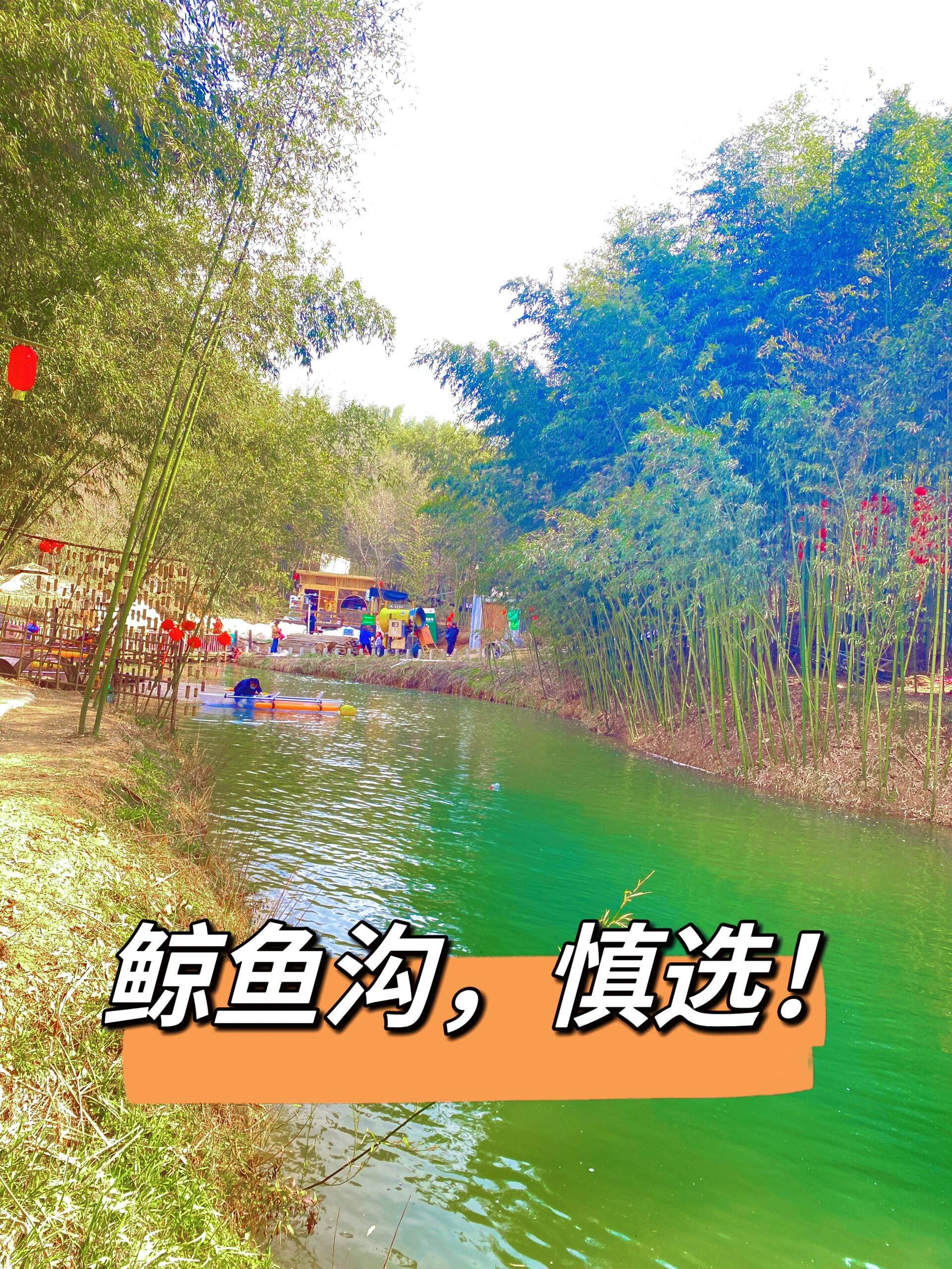 拔草鲸鱼沟,慎重选择,主打一个心态好03