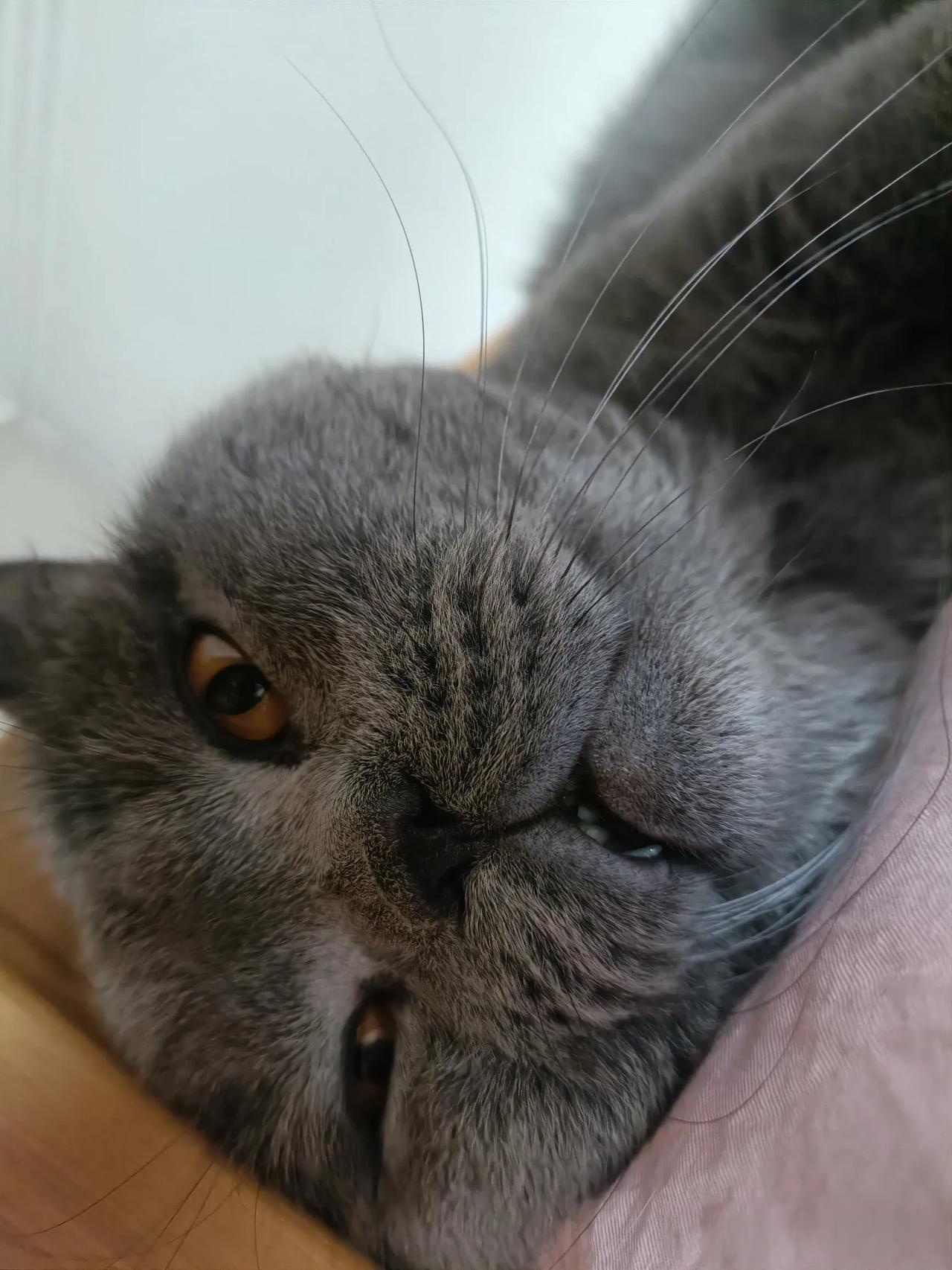 但是并不想每天做家务