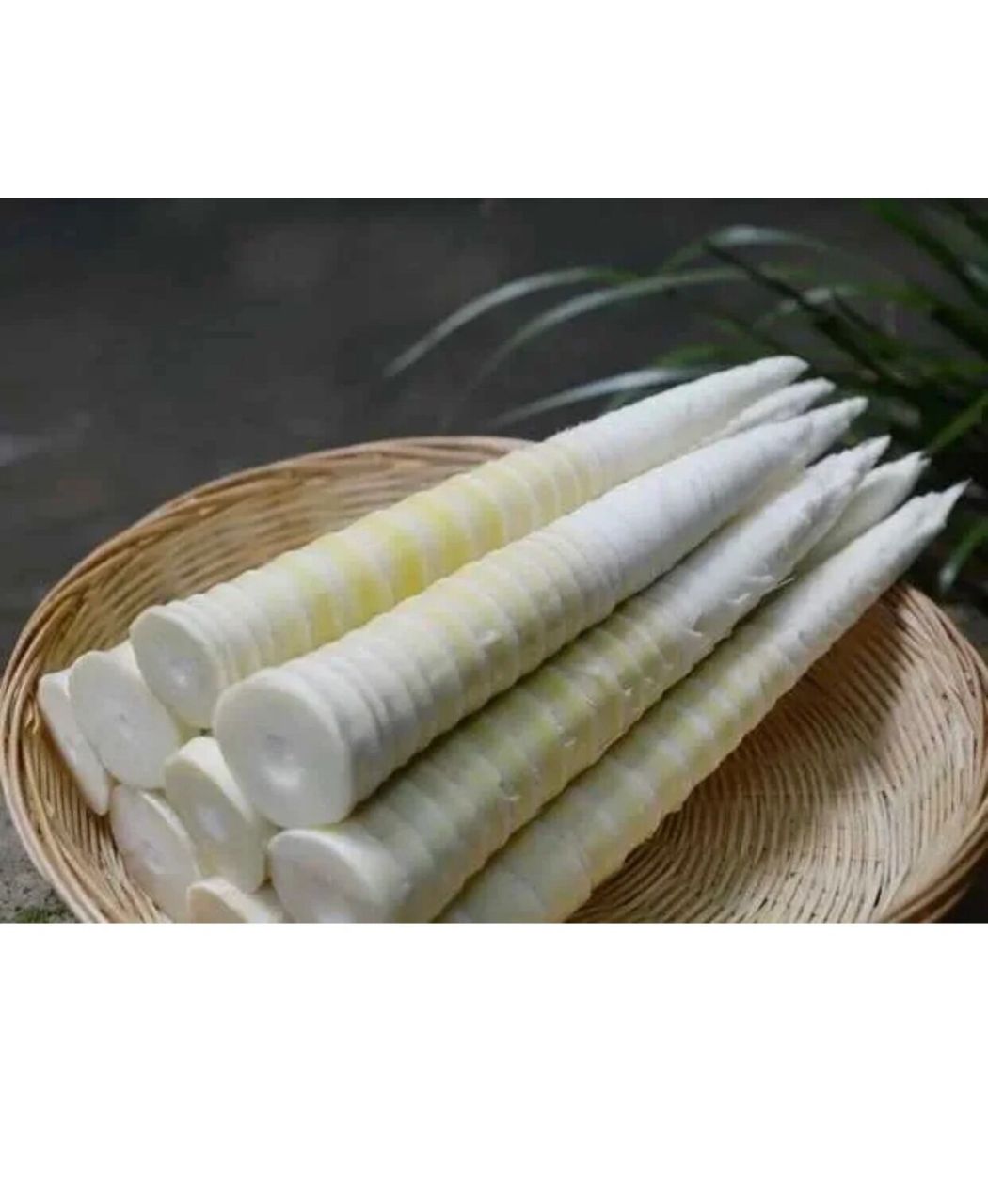 又到了吃笋子的季节/四川崇州文井江牛尾笋 竹笋相信大家都吃过吧?