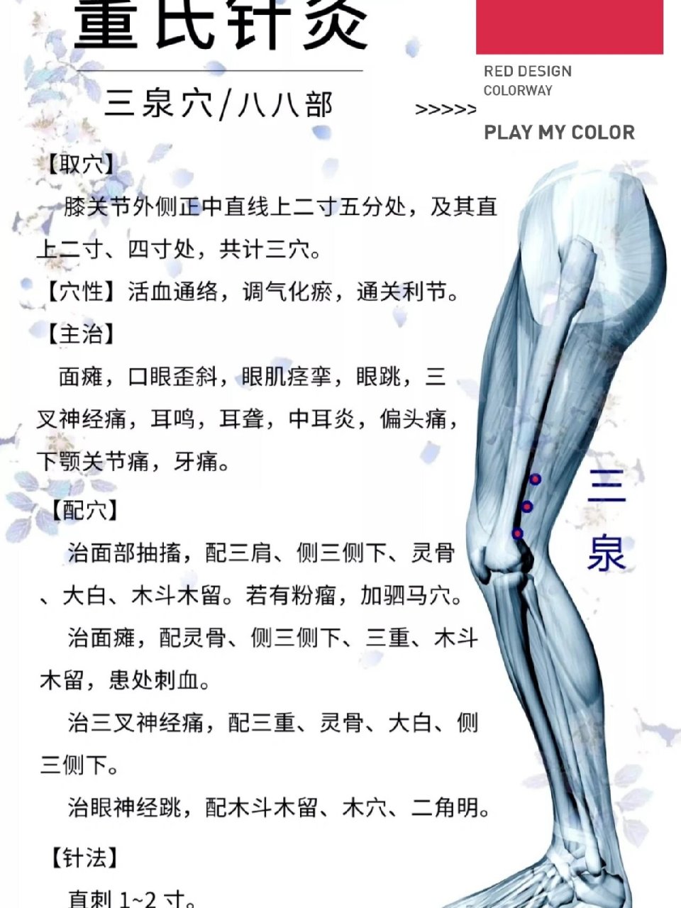 三泉:主治身体的侧面 | 董氏针灸偏瘫穴 9296三 泉 穴 八 八 部