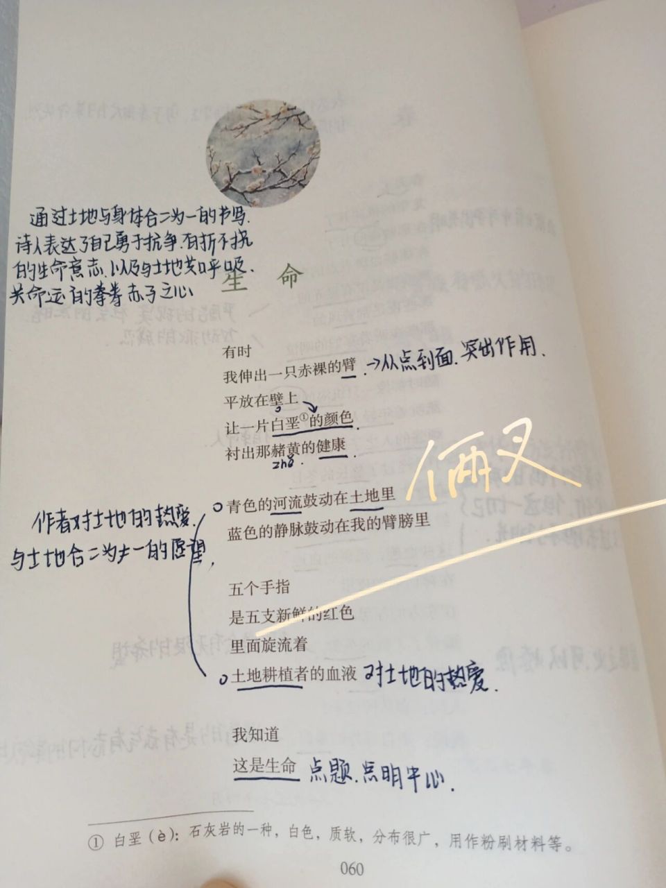 艾青诗选批注生命  生命