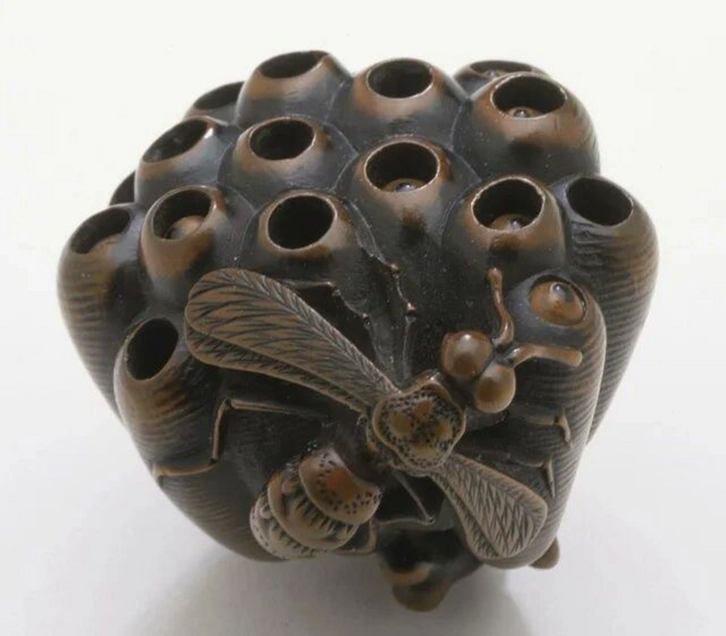 黄蜂巢的雕刻.日本,江户时期,1800-1850