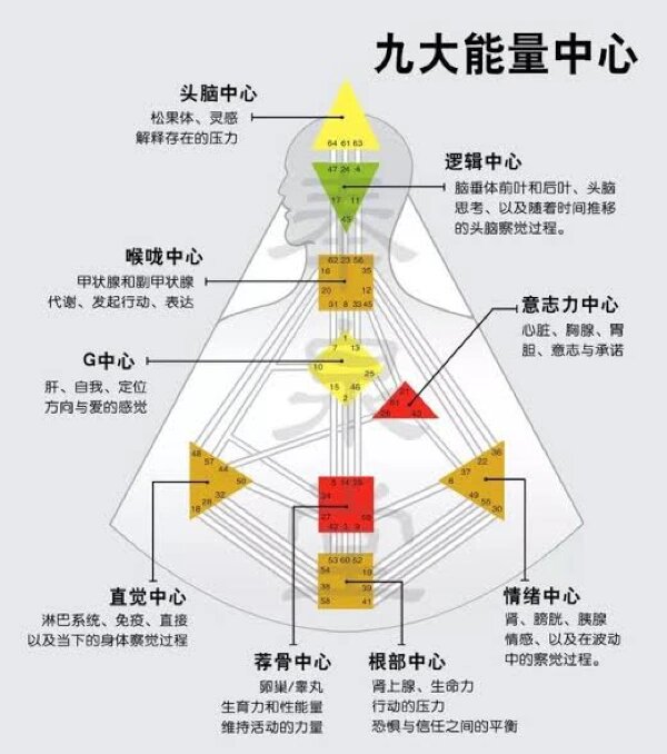 你知道人类图吗?