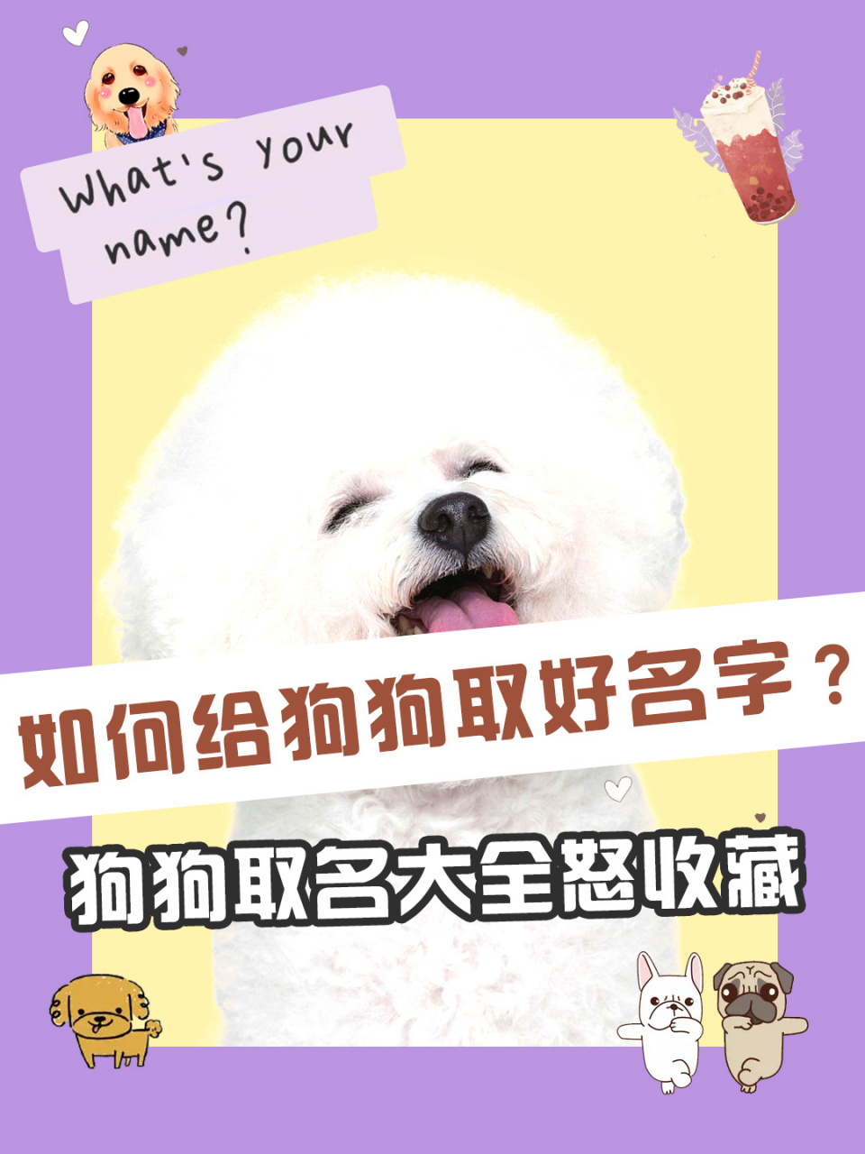 如何给狗狗取好名字71狗狗取名大全怒收藏 每只狗狗进入一个新家庭