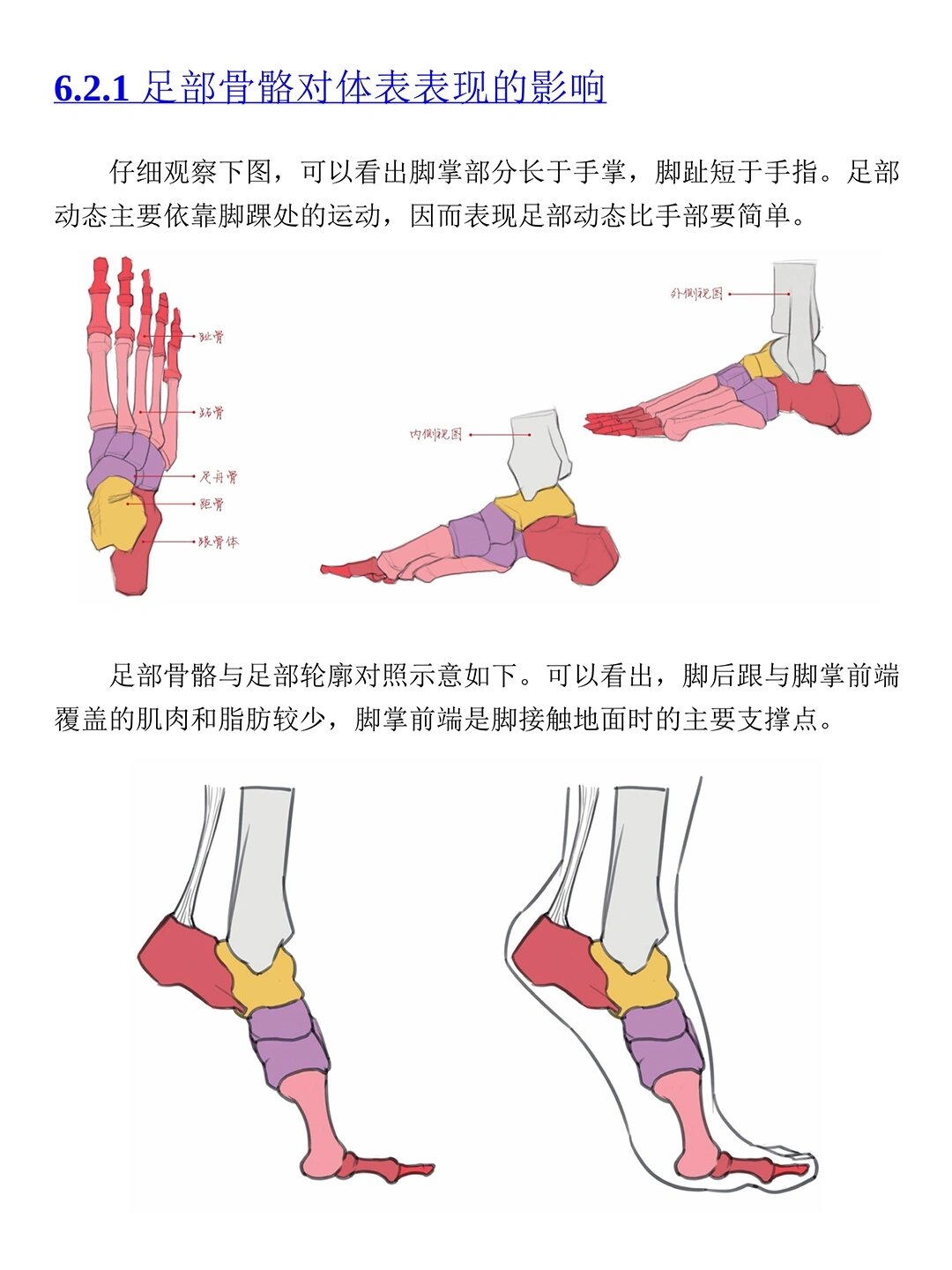 脚部绘画素材来啦