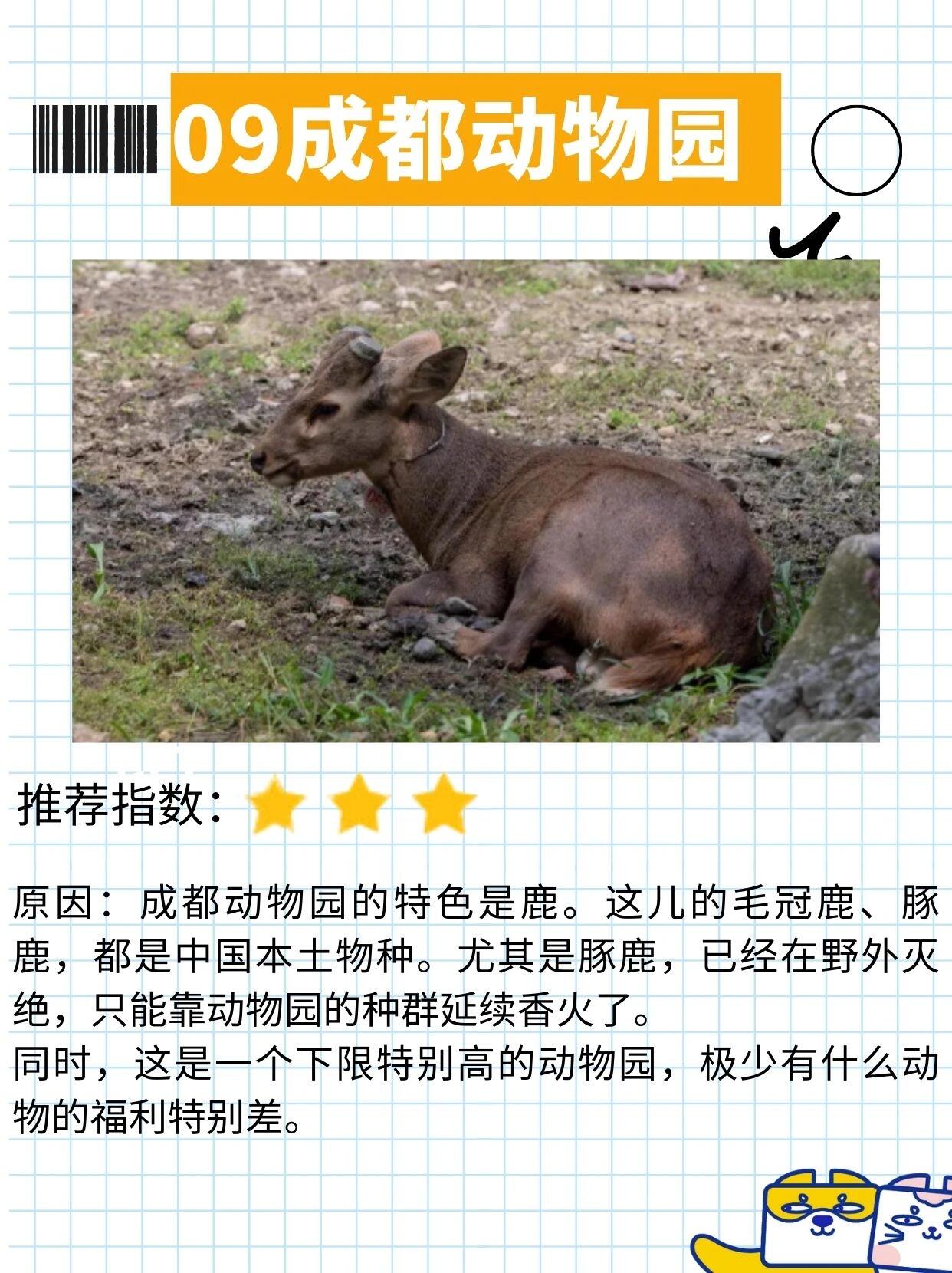 必看!国家优秀动物园大盘点