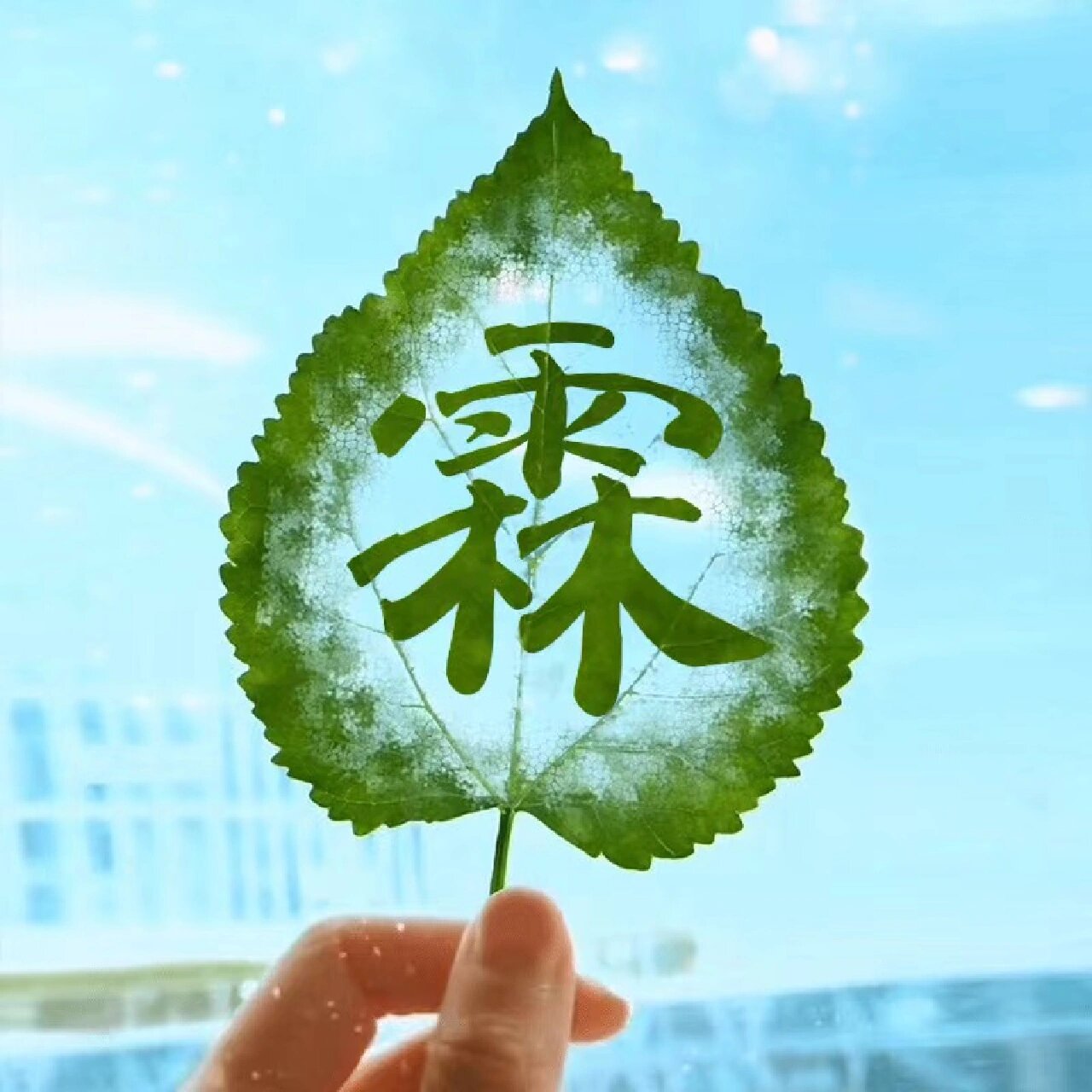 手绘树叶头像你留姓我作图