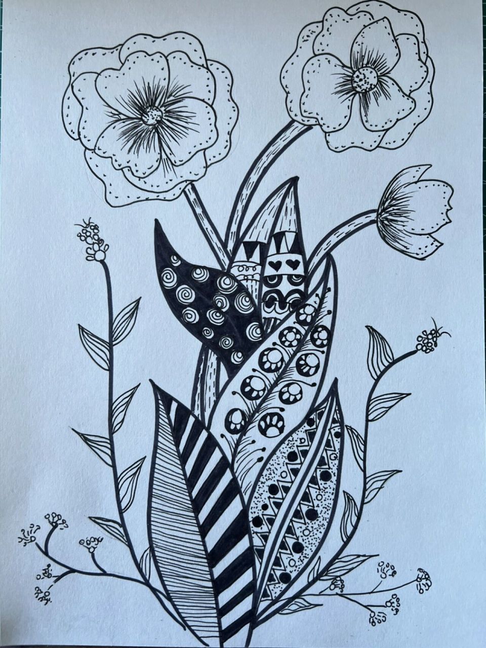 黑白装饰画 植物线描 7815929591979099