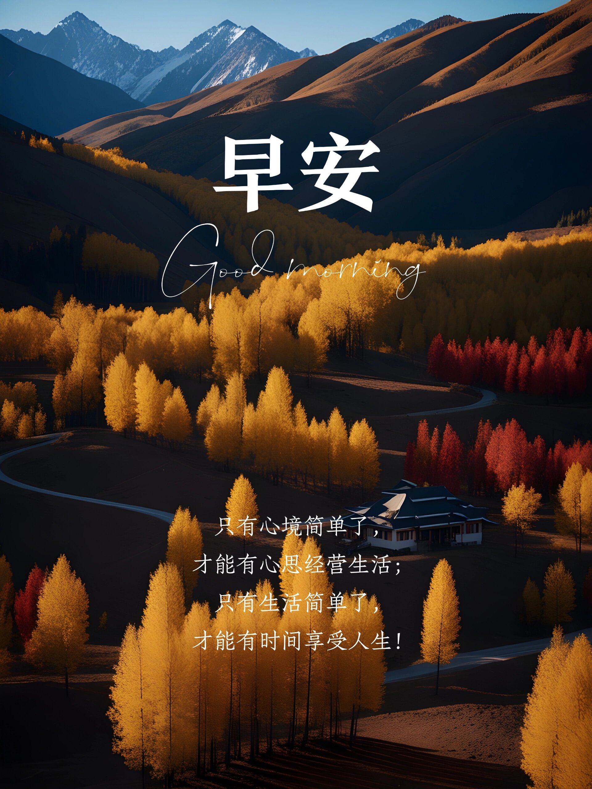 每日一句励志早安语今天是最好的一天图片(每日一句励志早安语今天是最好的一天图片大全)