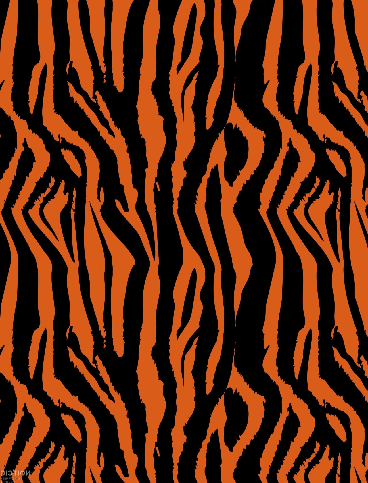 30组图案设计灵感分享|斑马纹