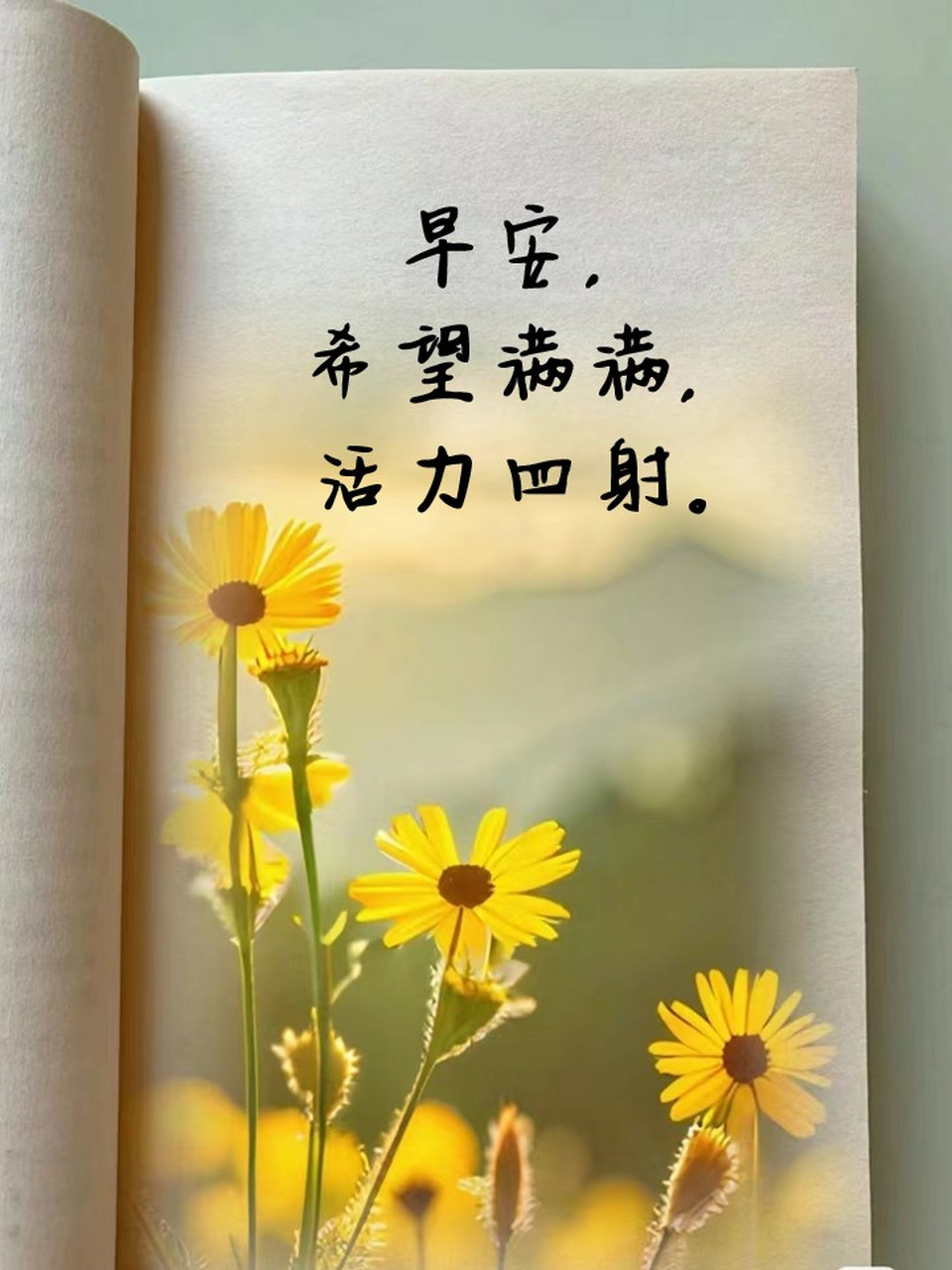 96早安,一天好心情启动!  96阳光问候,早安愉快!