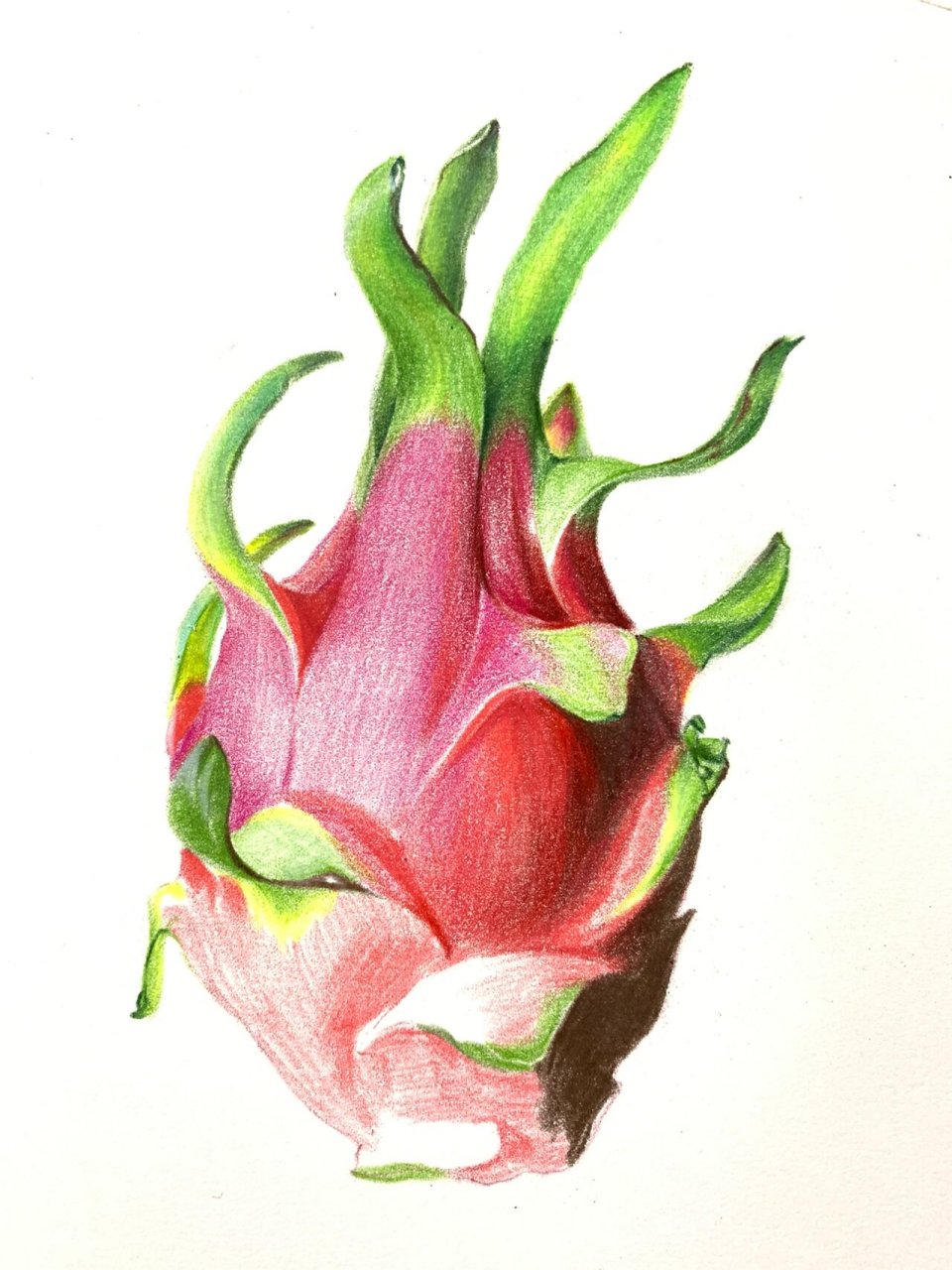 彩铅|火龙果 今天是这一阶段9幅水果彩铅的最后一幅,给自己定下一个小