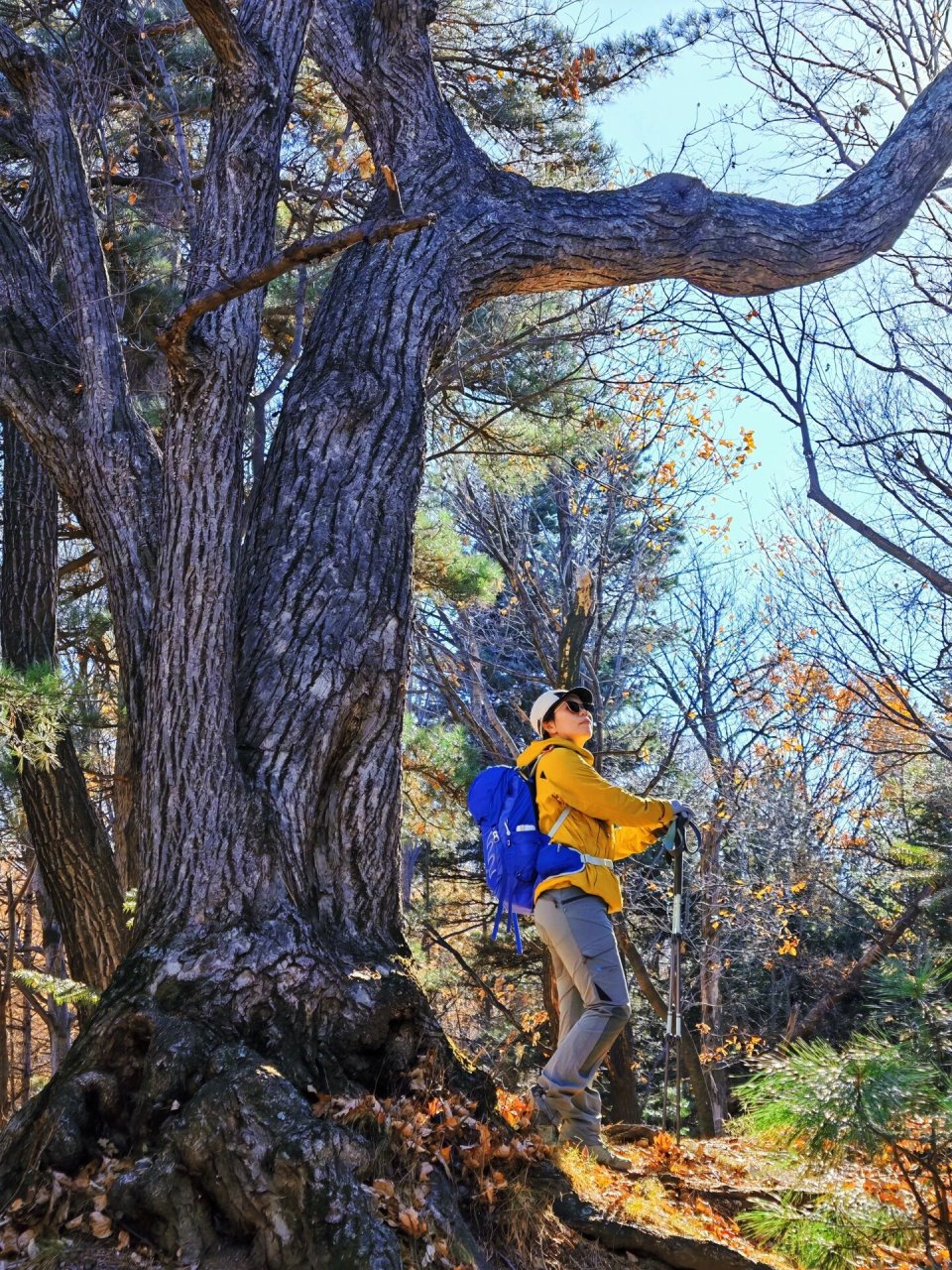 今年老爷岭登顶两次, 一下夏季,一次秋季, 绝美风景刻在脑海里, 望