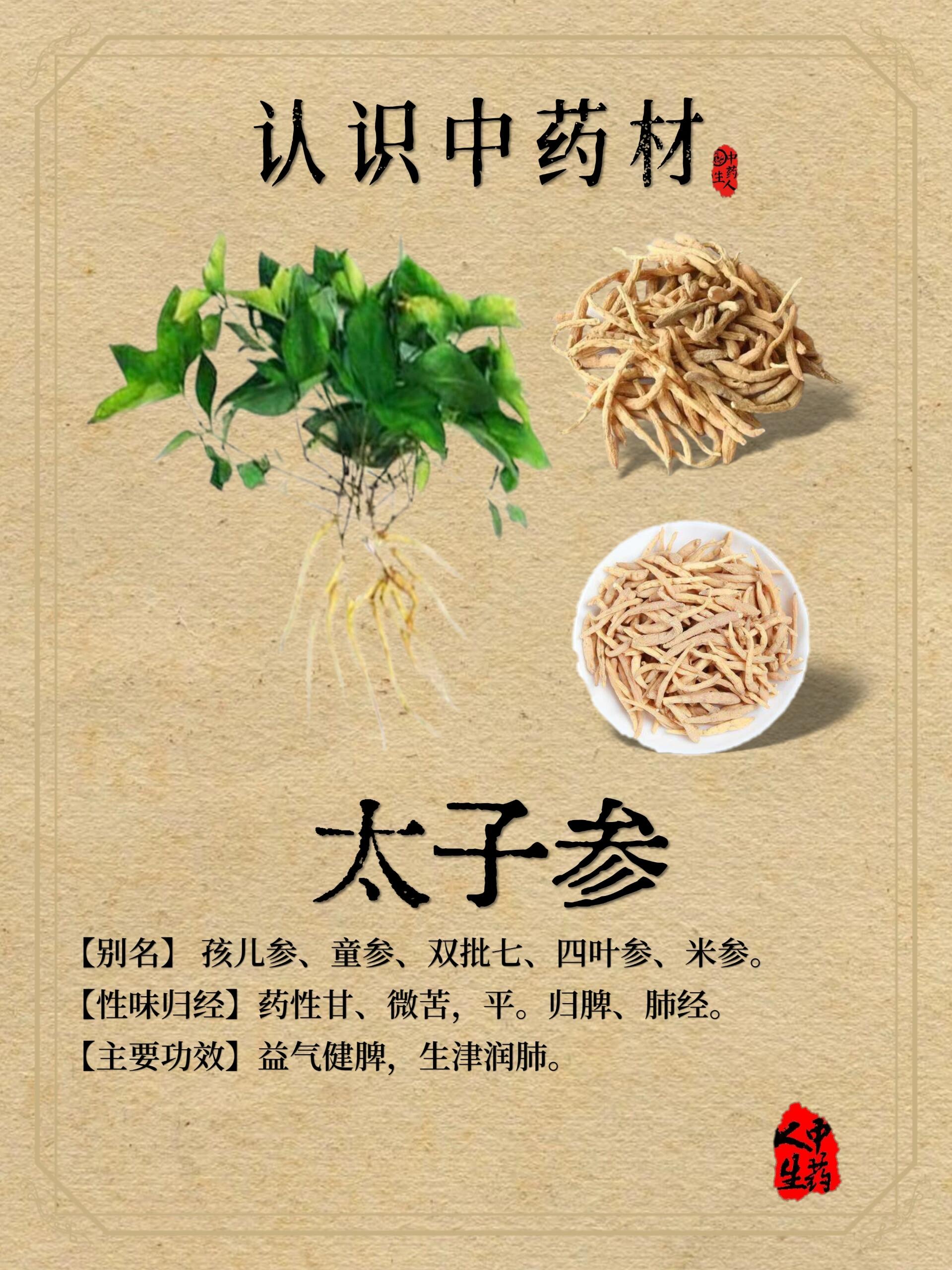 中药材—【太子参】 【中药名】太子参 【产地】主产于江苏,山东等地.