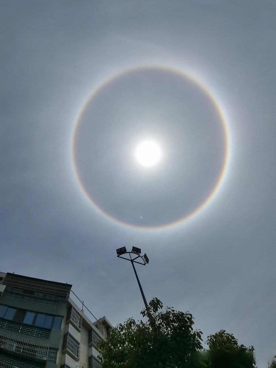 快看快看,太阳光晕!