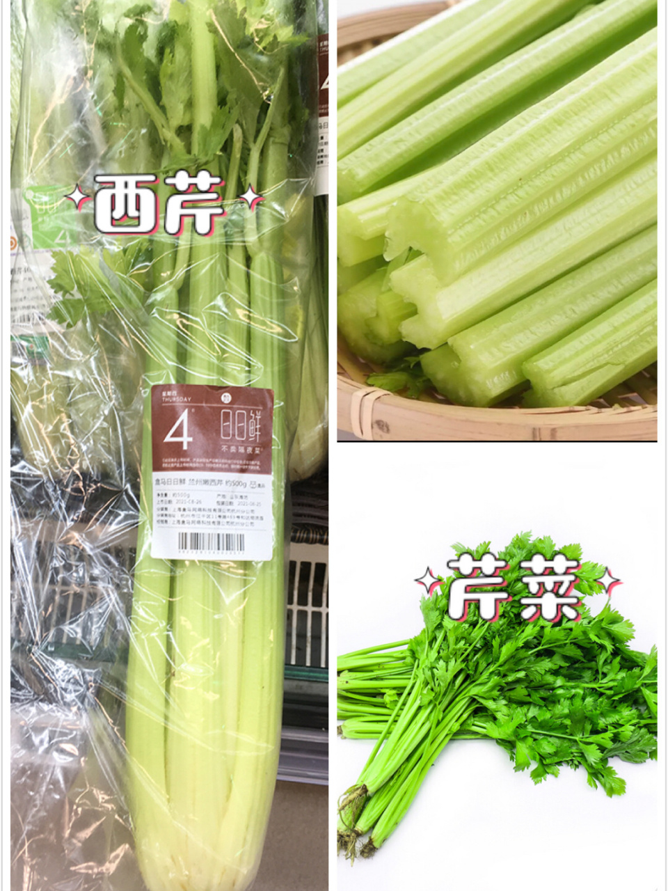 西芹与芹菜的区别 西芹:欧洲引进的品种,枝干比较粗壮厚实,多汁脆嫩