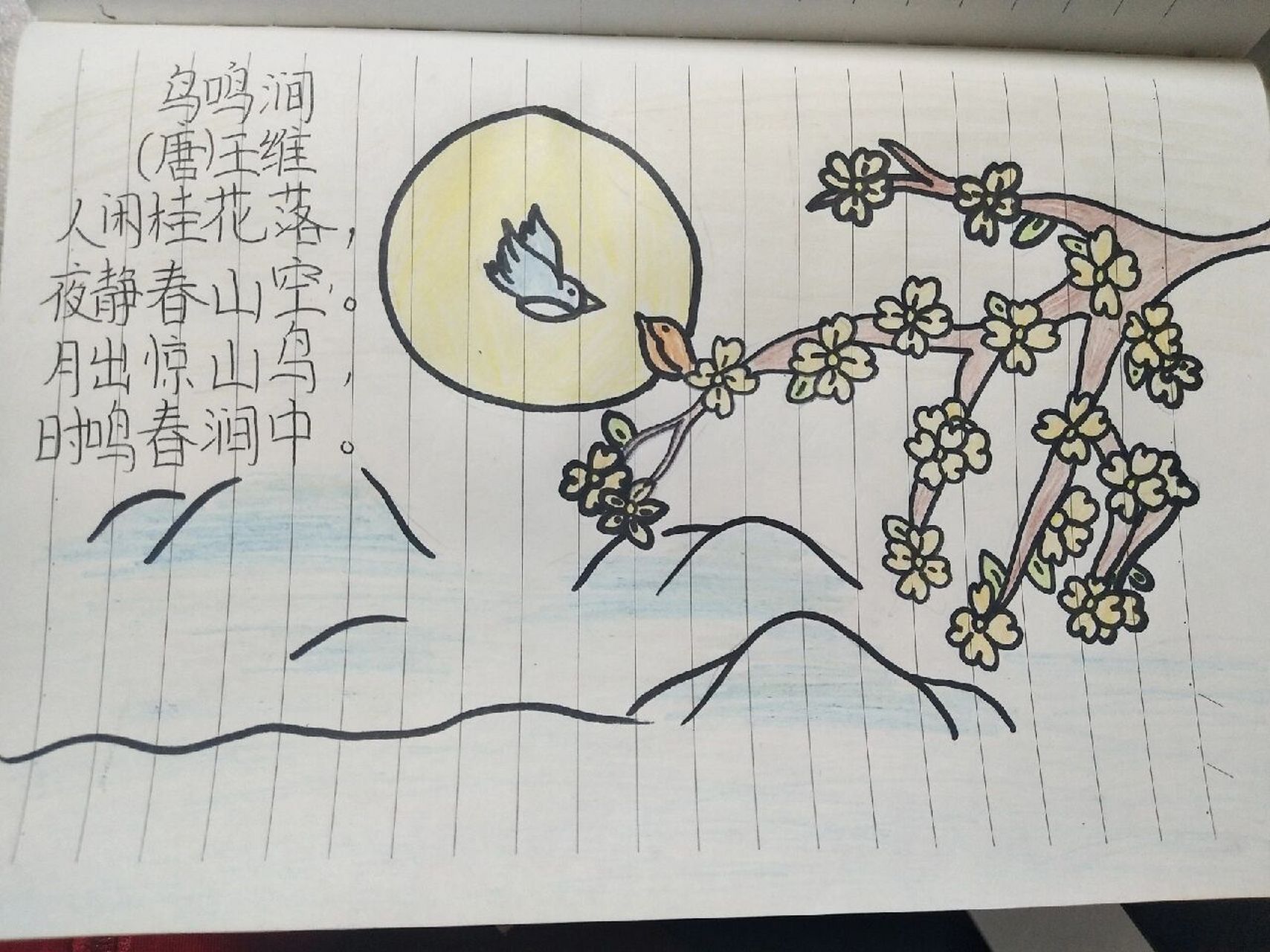 三年级鸟鸣涧简笔画图片