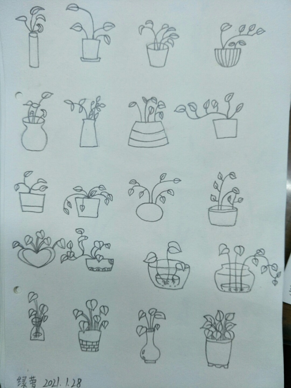 简笔画绿萝,坚持打卡 #绘画