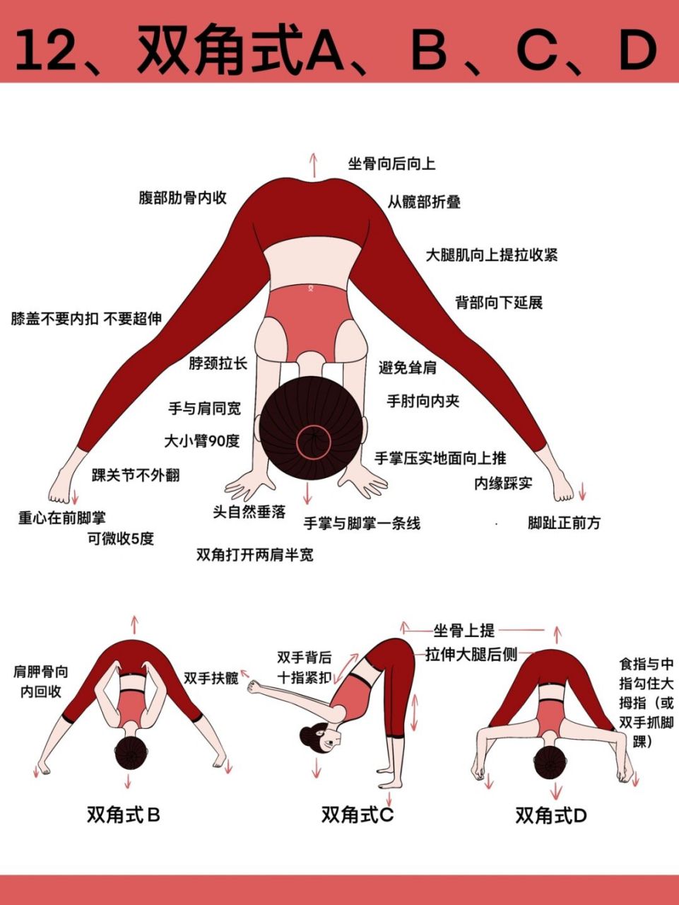 原创瑜伽插画|瑜伽体式笔记—双角式 双角式a,b,c,d系列!