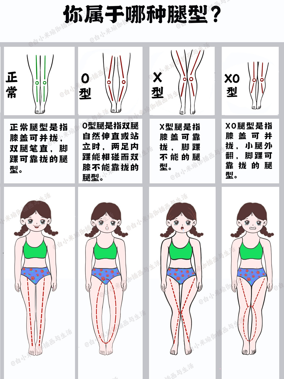 体态|你属于哪种腿型?