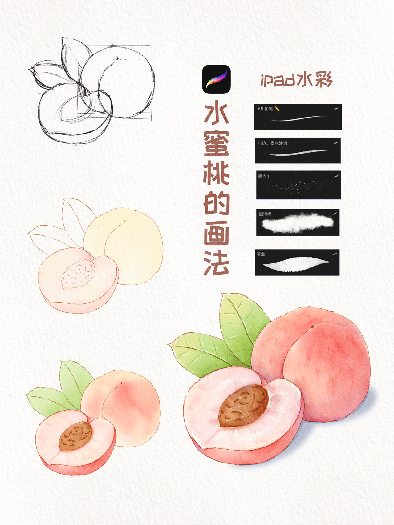ipad水彩|水蜜桃的画法(含笔刷90背景)