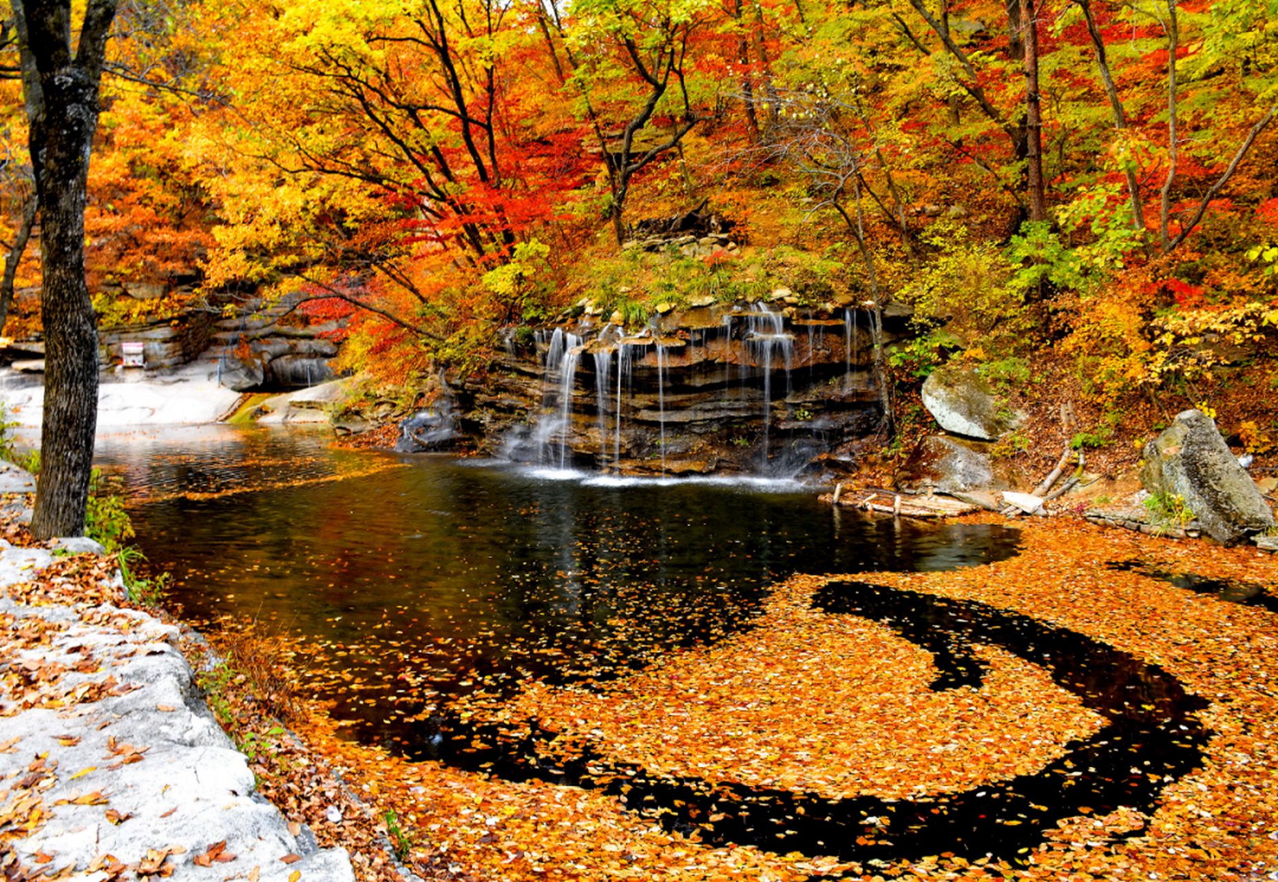 网红打卡地辽宁杠杠滴# 龙潭湾风景区#美好辽宁欢迎您# 省级森林公园