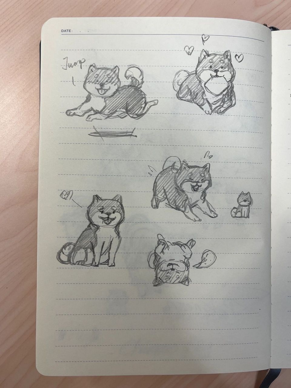 98狗狗简笔画100-11|柴犬 狗狗简笔画第11弹,今天是柴犬!