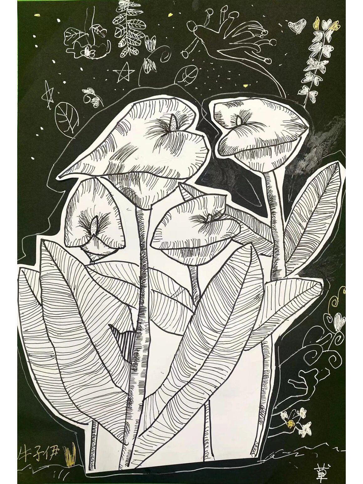 未来美术馆|黑白线描《马蹄莲》