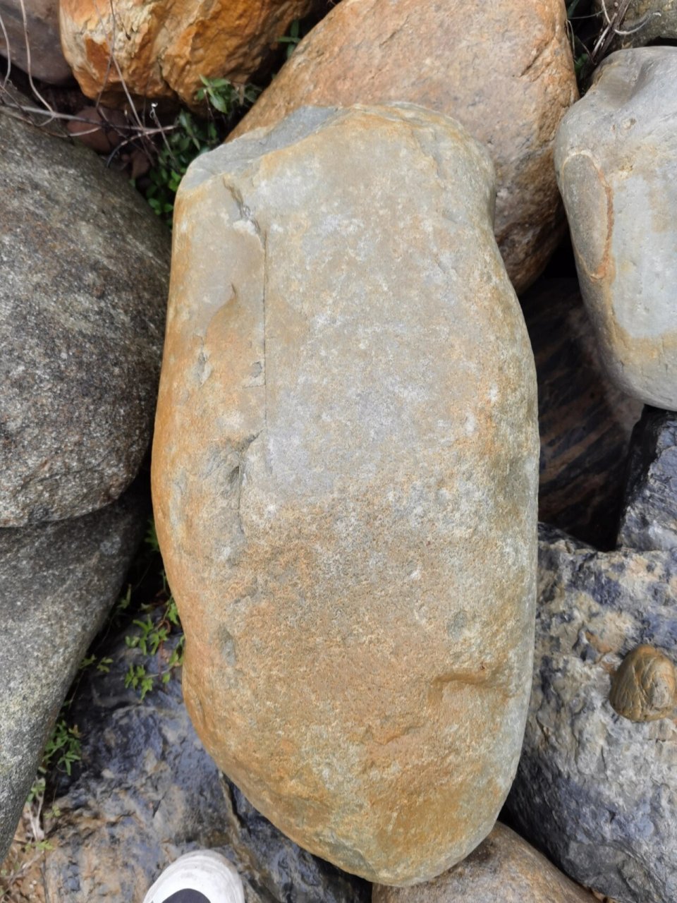 造景石|天然黄色鱼池假山驳岸生态鹅卵石 名称:水冲石 规格:35-70cm