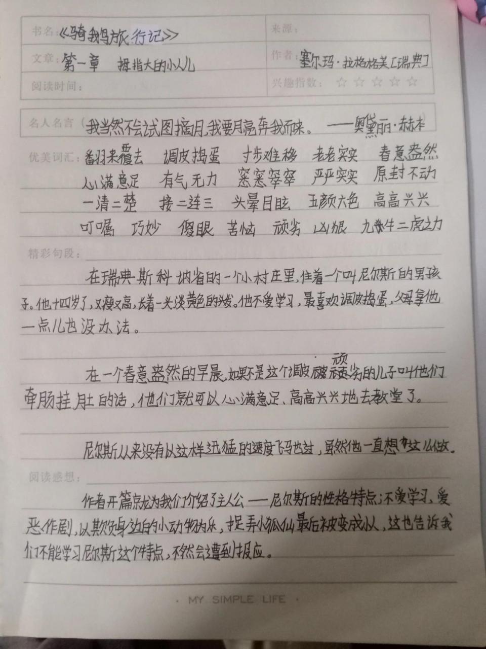 骑鹅旅行记摘抄笔记图片