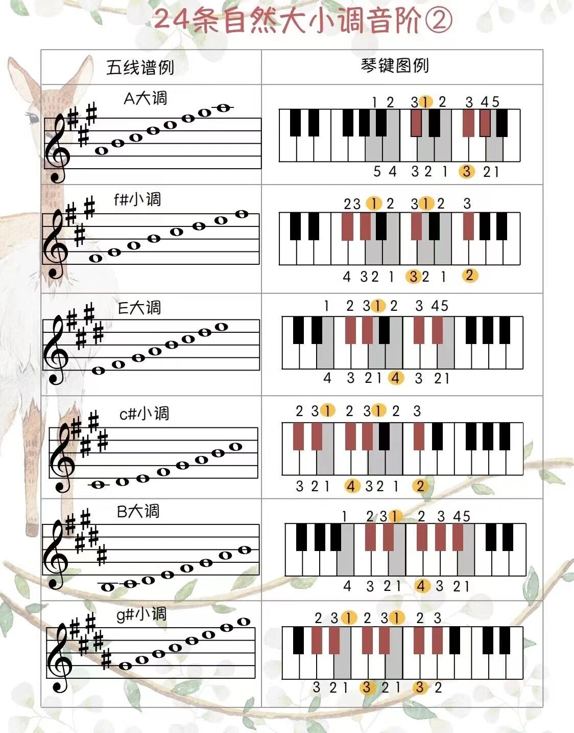 24个关系大小调音阶图图片