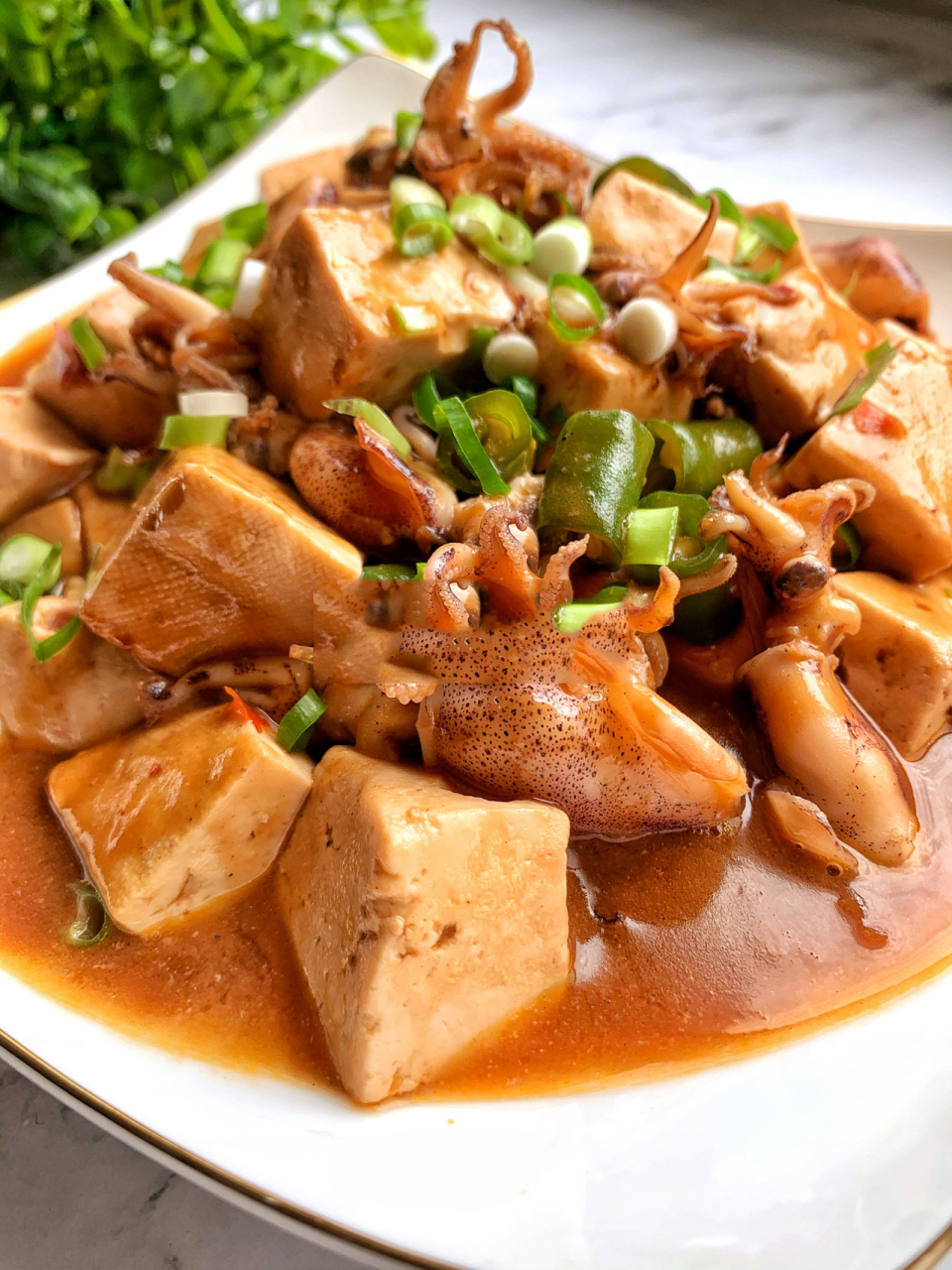 笔管鱼炖豆腐,可以这样做,营养鲜美 笔管鱼含优质蛋白质和矿物质,和