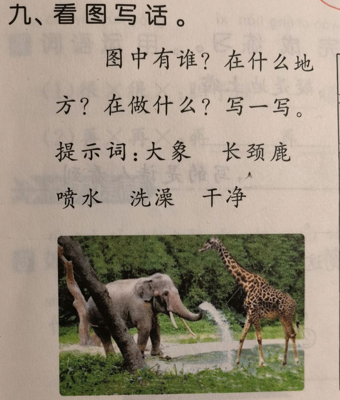一年级看图写话怎么写 一年级看图写话练习,《大象帮长颈鹿洗澡》.