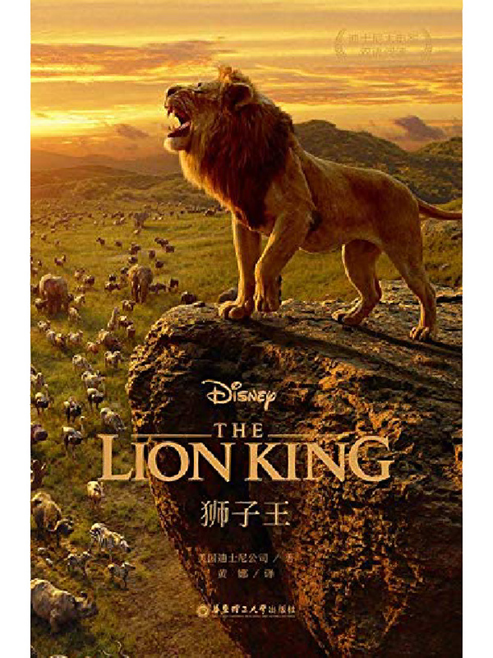 《狮子王》 最爱的电影之一 简介:狮子木法沙的儿子,荣耀国的王子辛巴