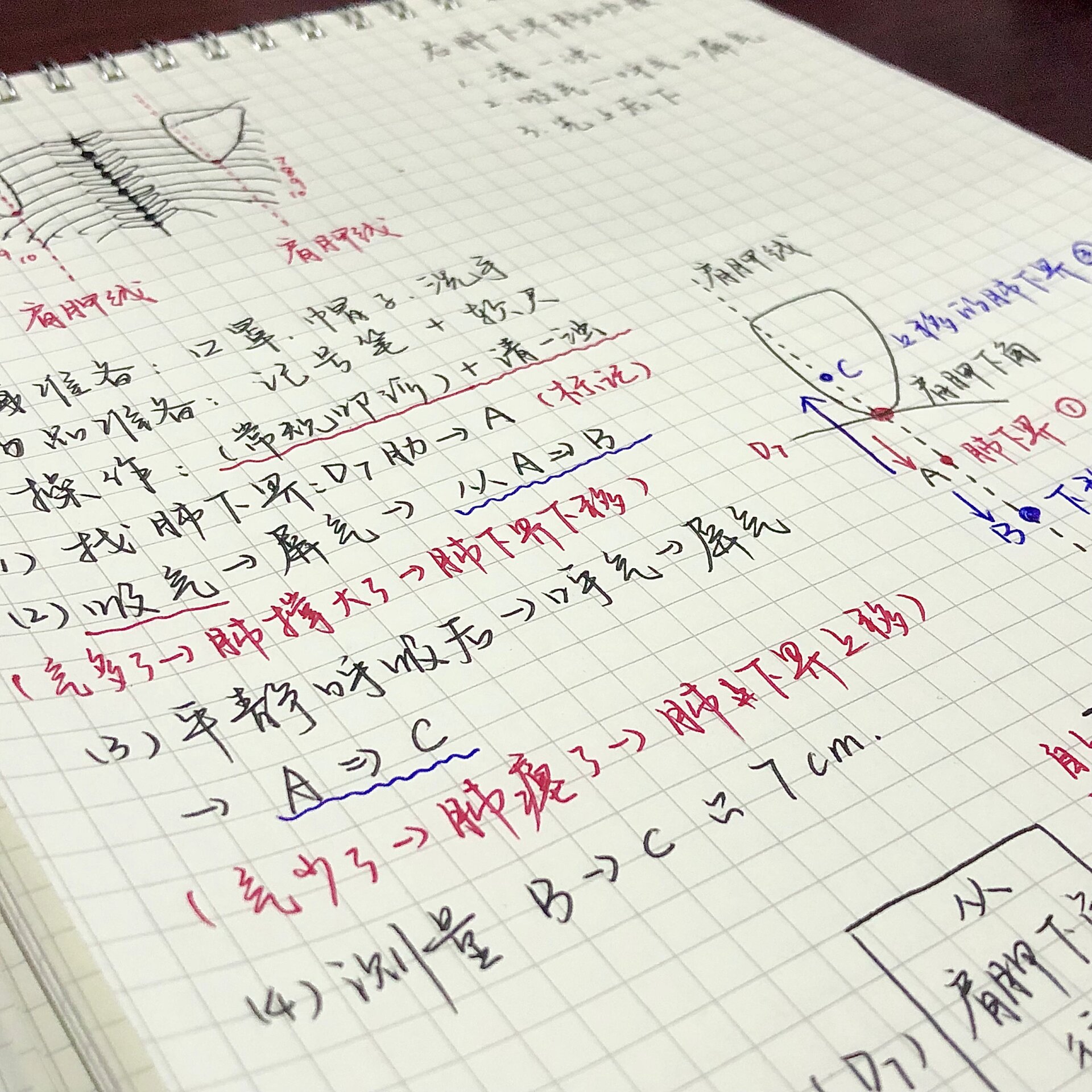 肺下界移动度图片