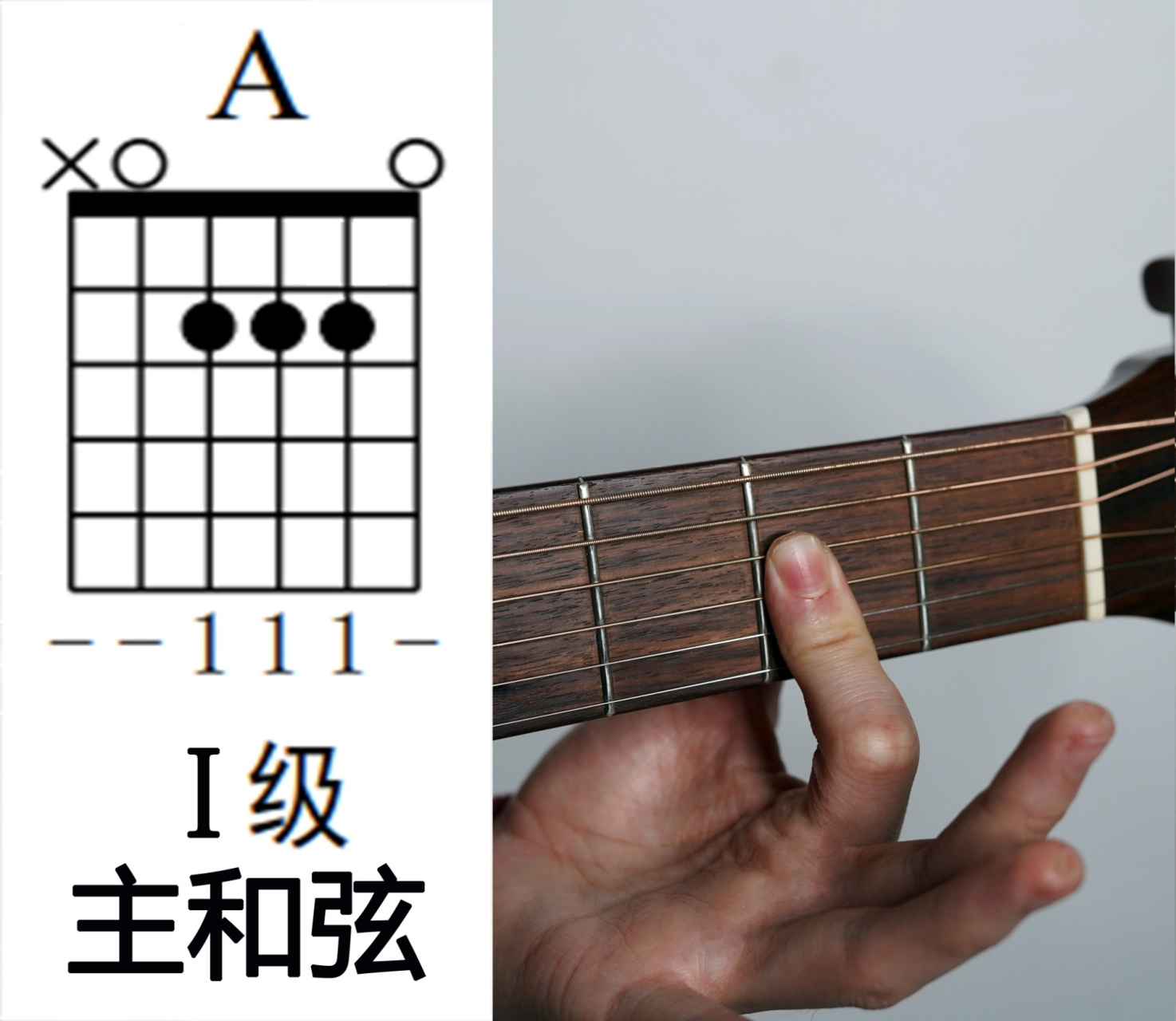 a和弦(大三和弦)组成音: 6(la)#1(do)3(mi) bm和弦(小三和弦)组成音