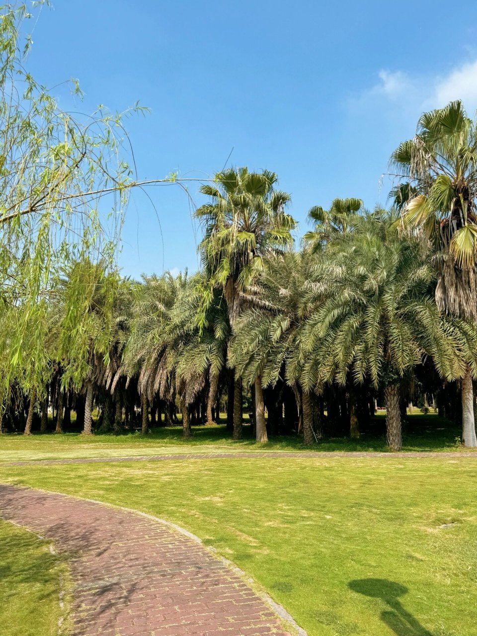 北郊公园|秋日生态环境99野餐地 在汕头市区内隐藏着