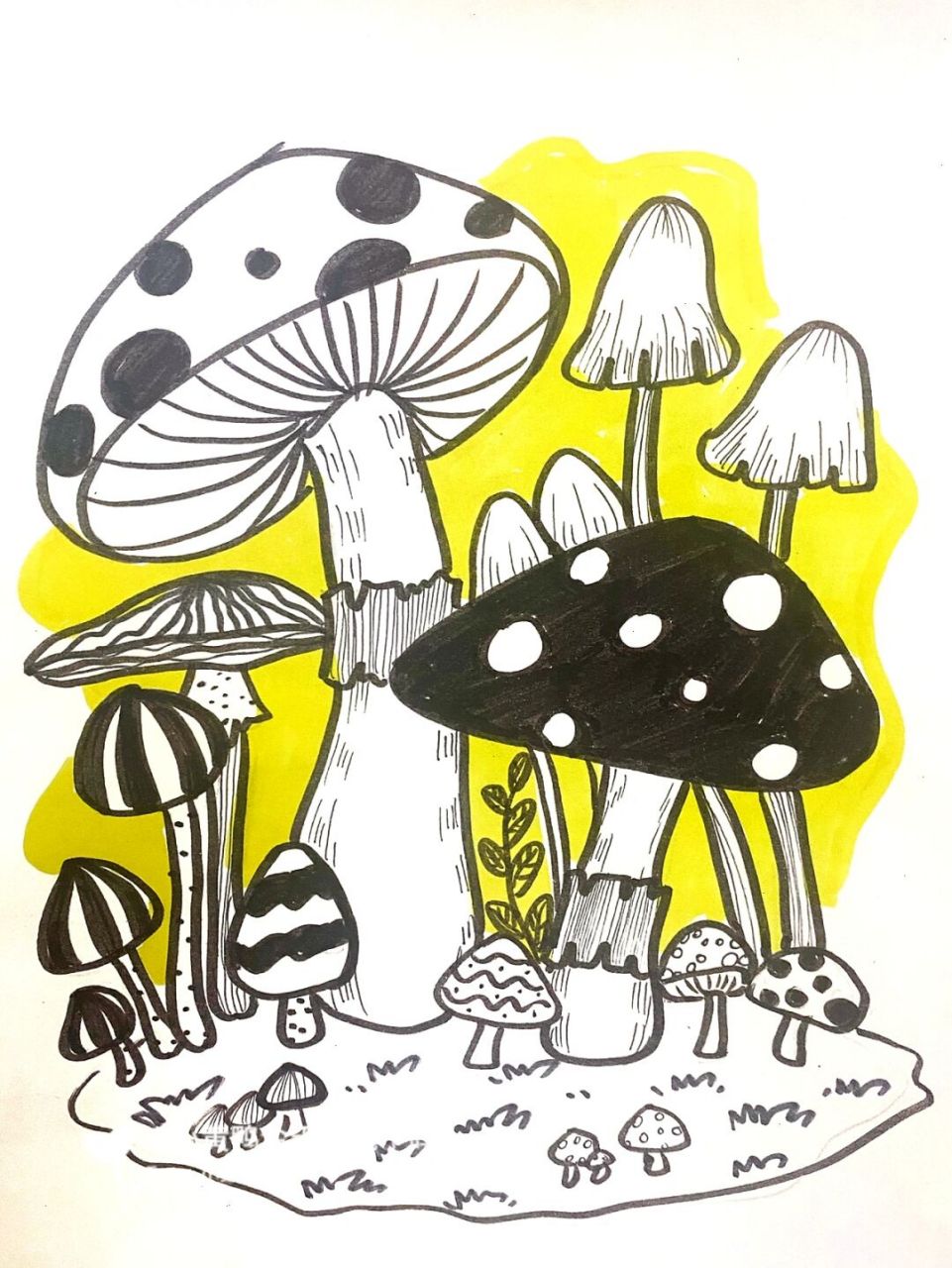蘑菇线描画图片