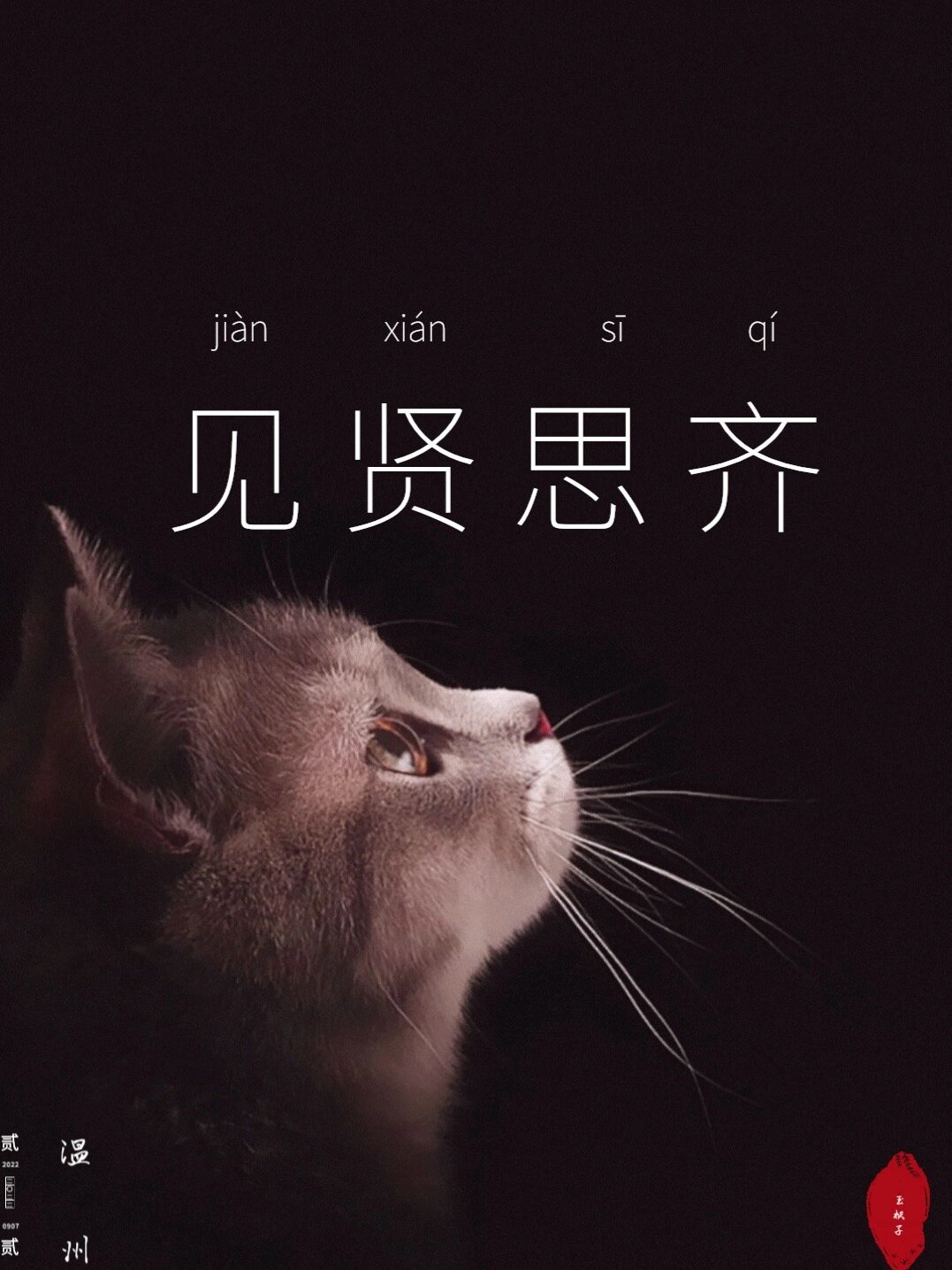 见贤思齐什么意思，高山仰止见贤思齐什么意思