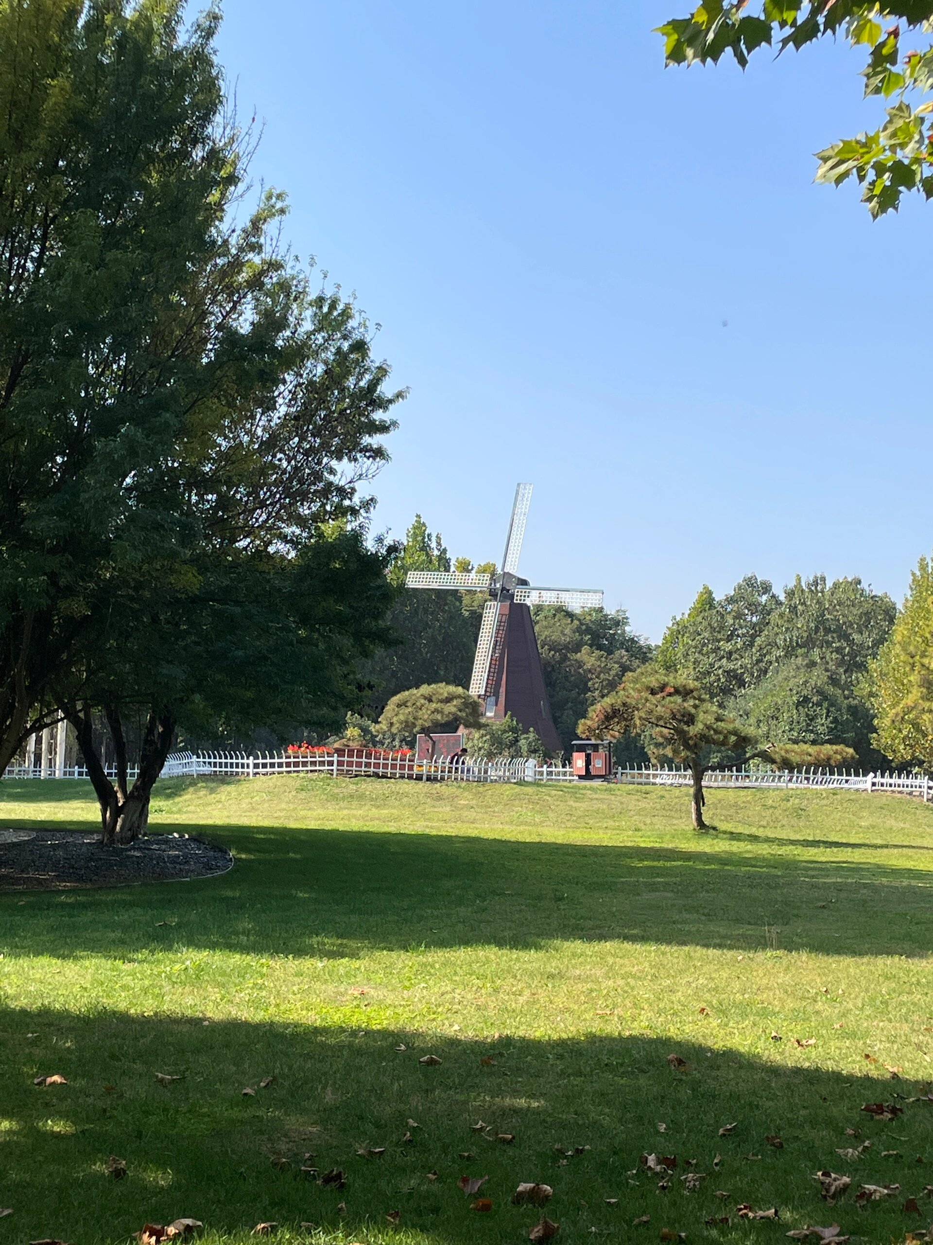 秋天的郑州树木园