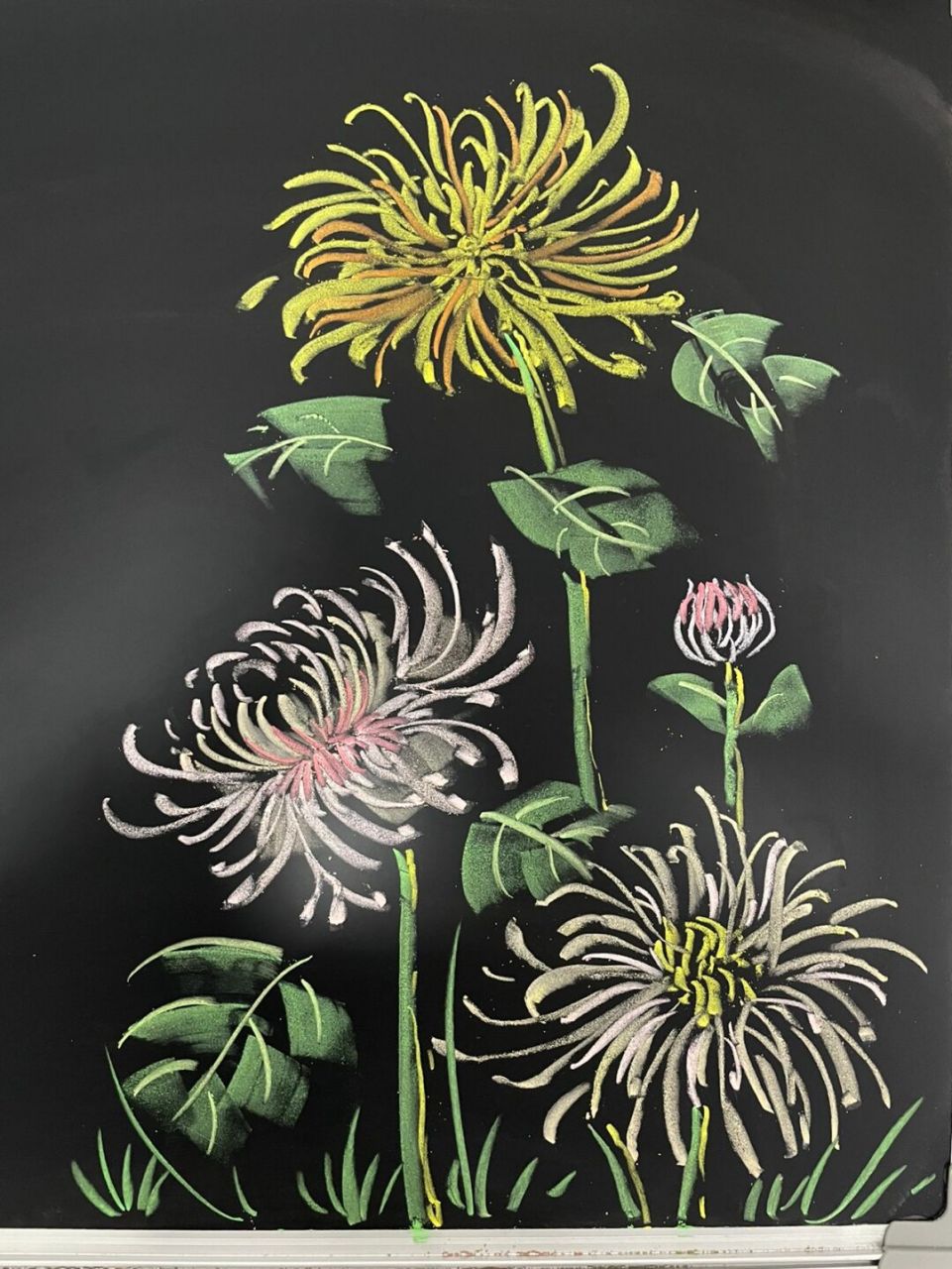 粉笔画花 日常手残的一天 #粉笔画# #黑板报素材# #春