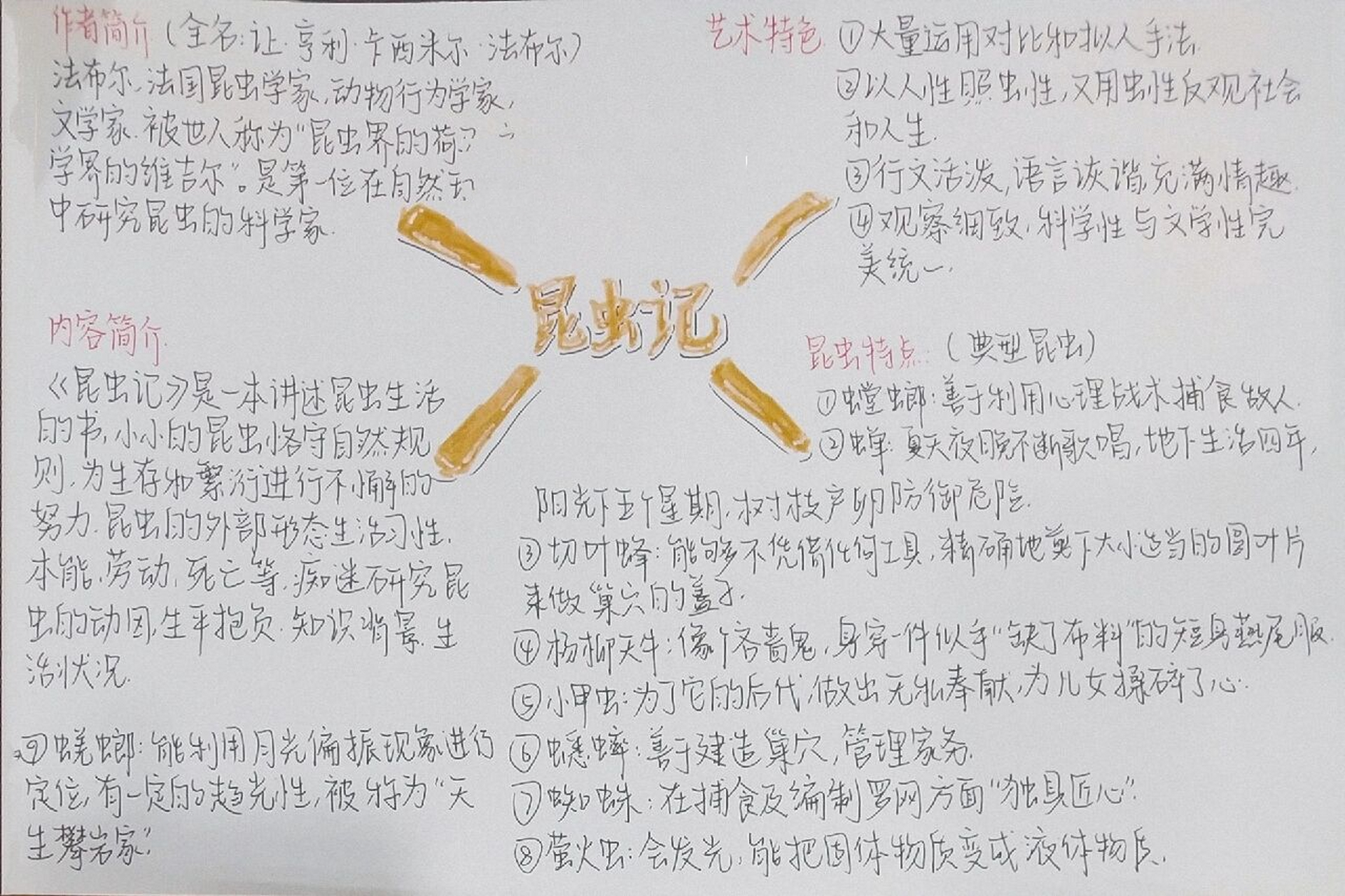 《昆虫记》思维导图92