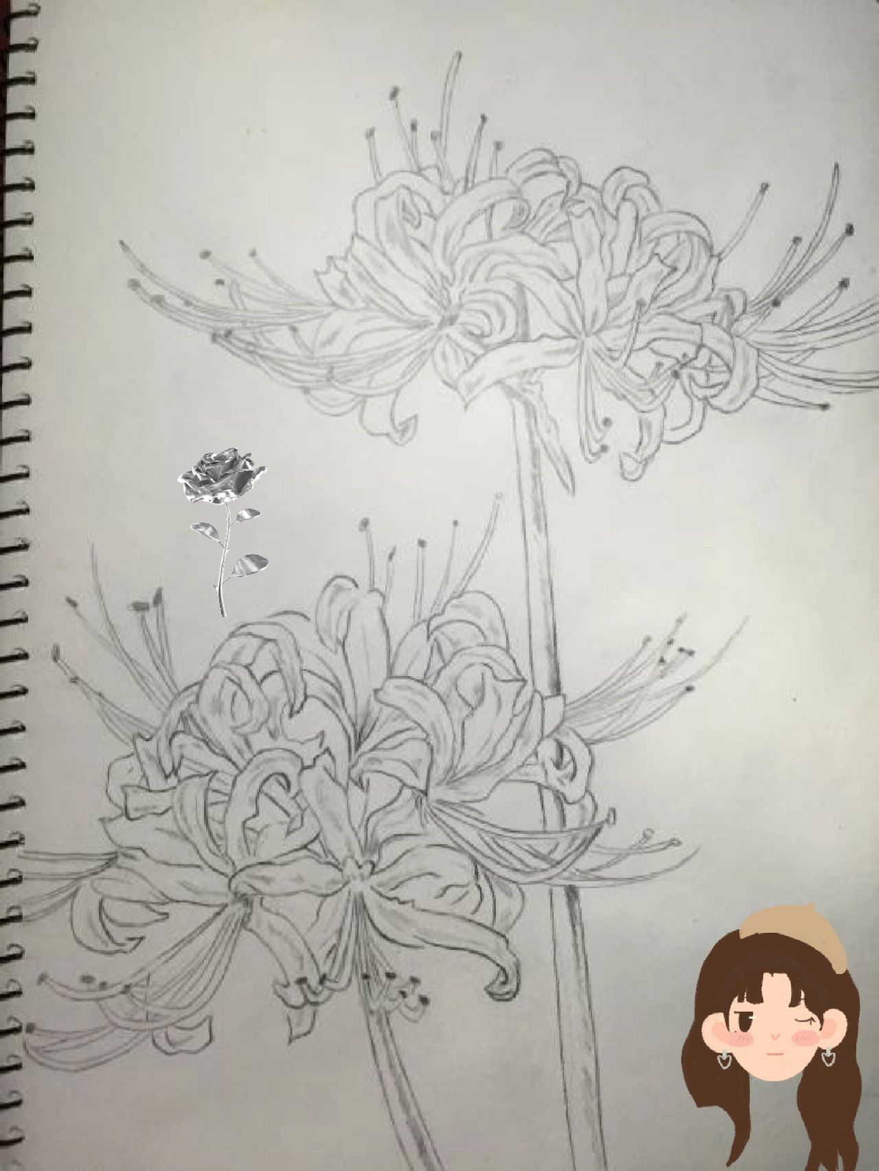 彼岸花简笔画手绘古风