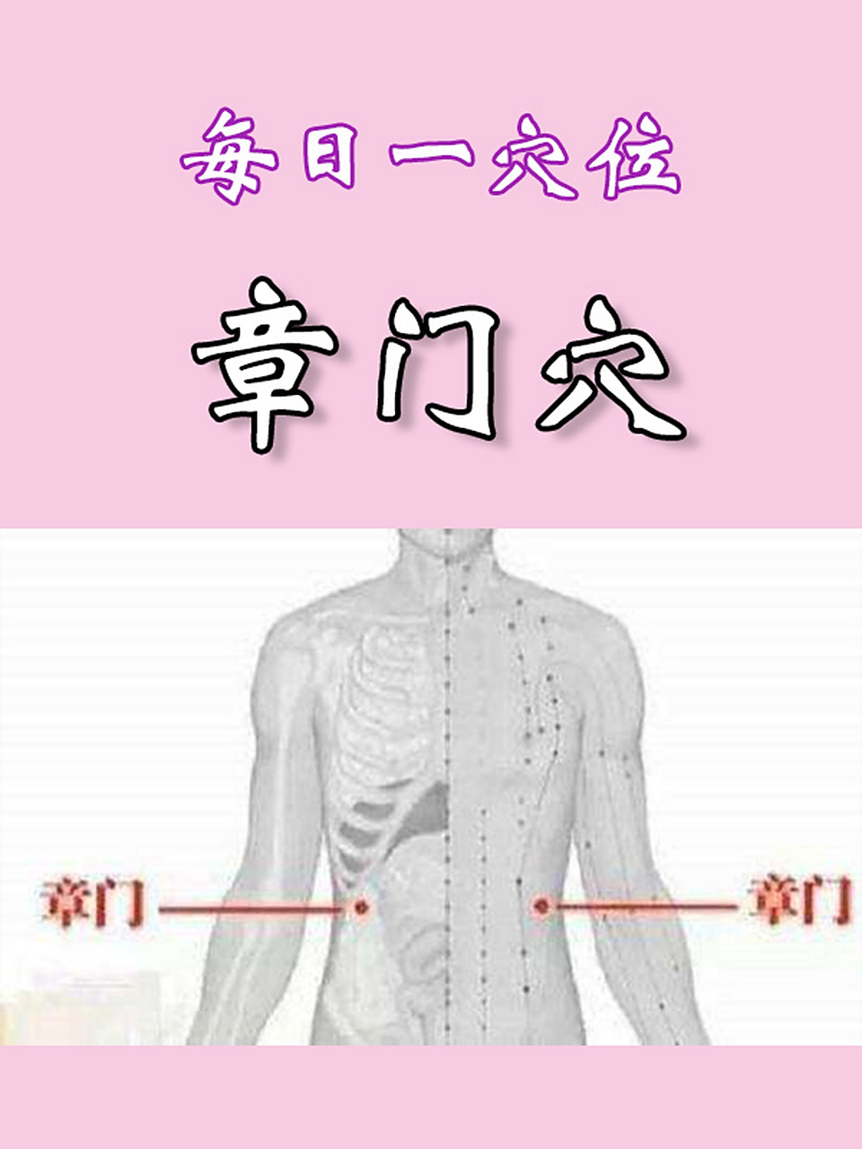每日一穴位(十三)章门穴 【定位】在侧腹部,当第十一肋游离端的下方.