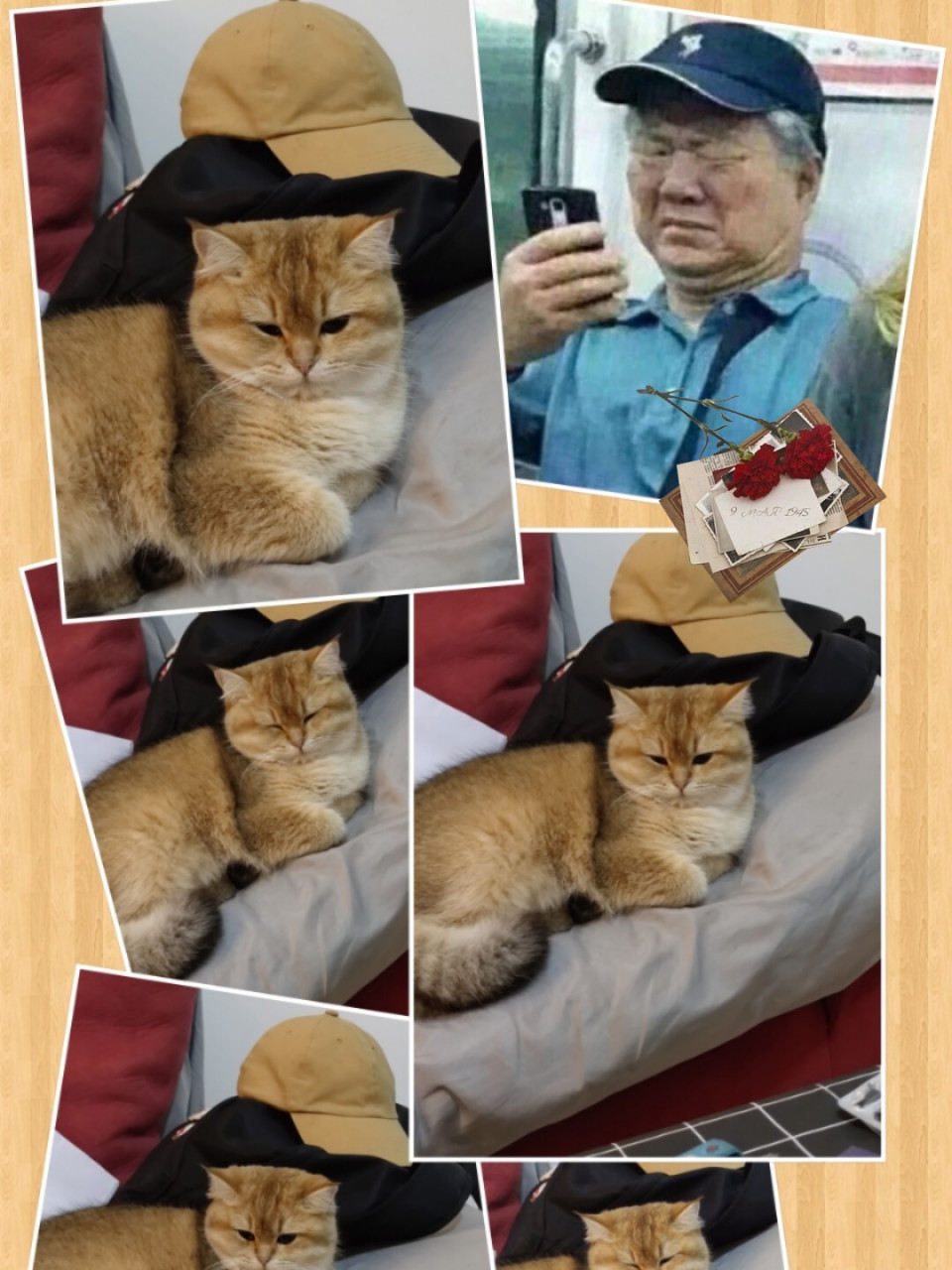 地铁老人看手机表情包 93:我妈说我很像某个人