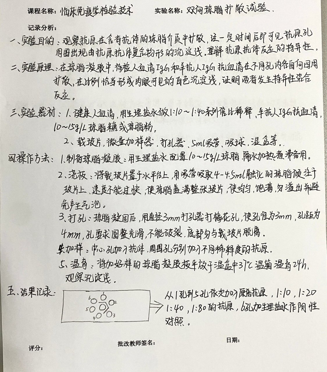 双向琼脂扩散图片