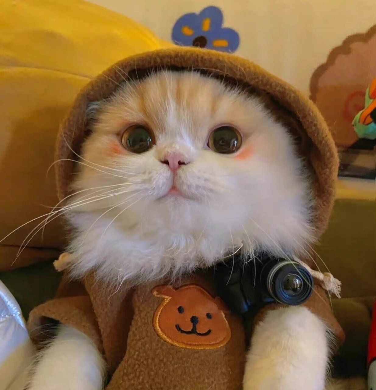 高质量动物头像96不准你还没换!